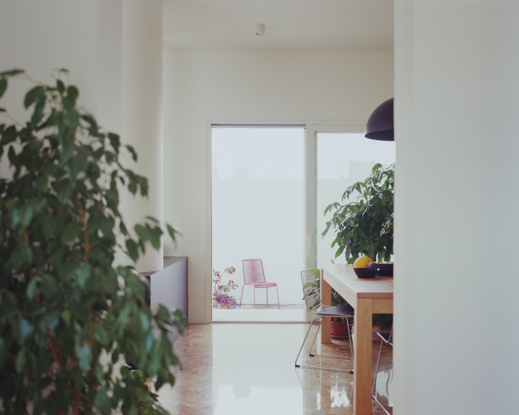 Interior hallway view through open doorway to sunlit patio with potted plants and pendant lamp