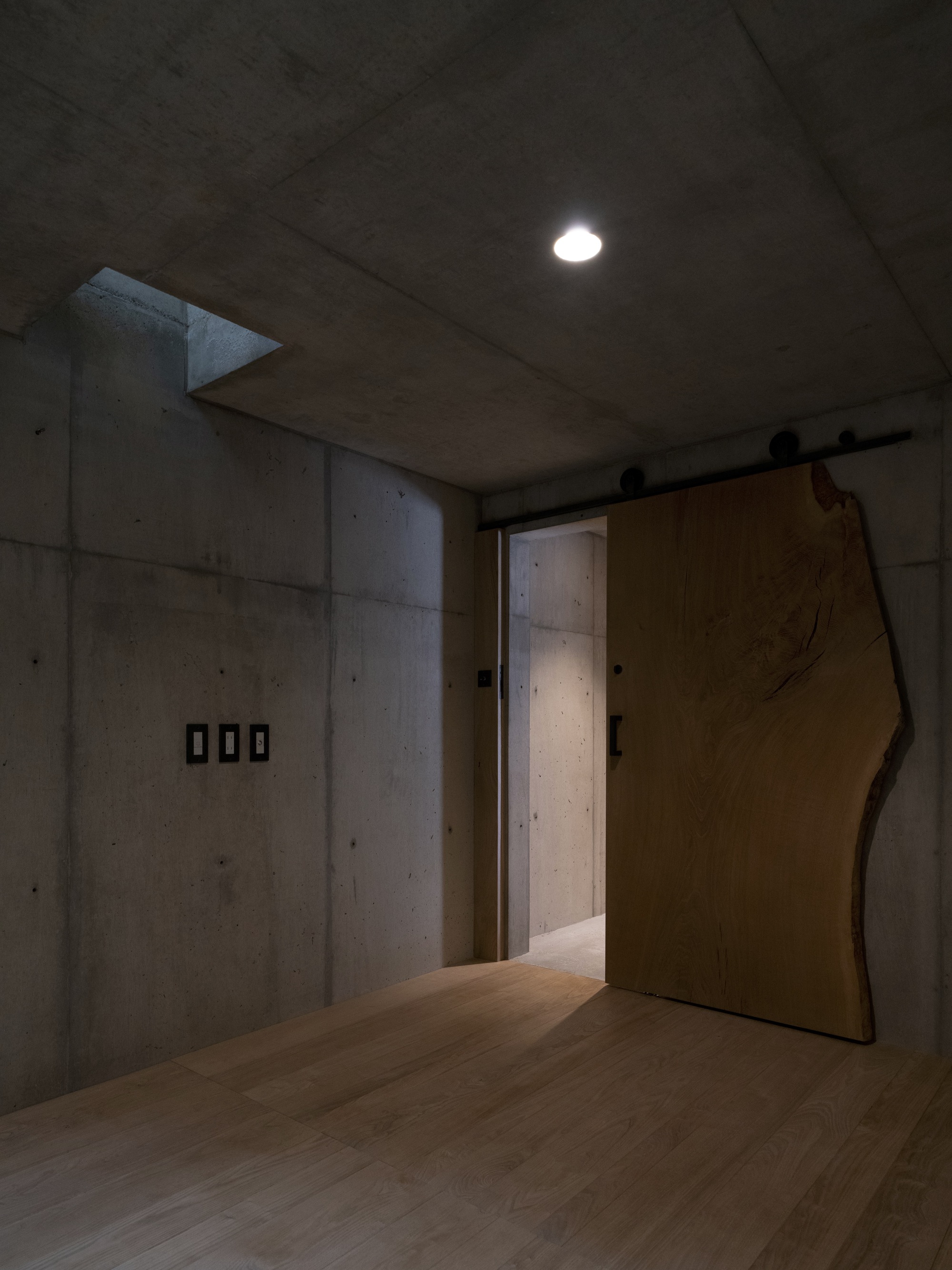 Interior entry hall with board-formed concrete walls and sculptural timber door on sliding track