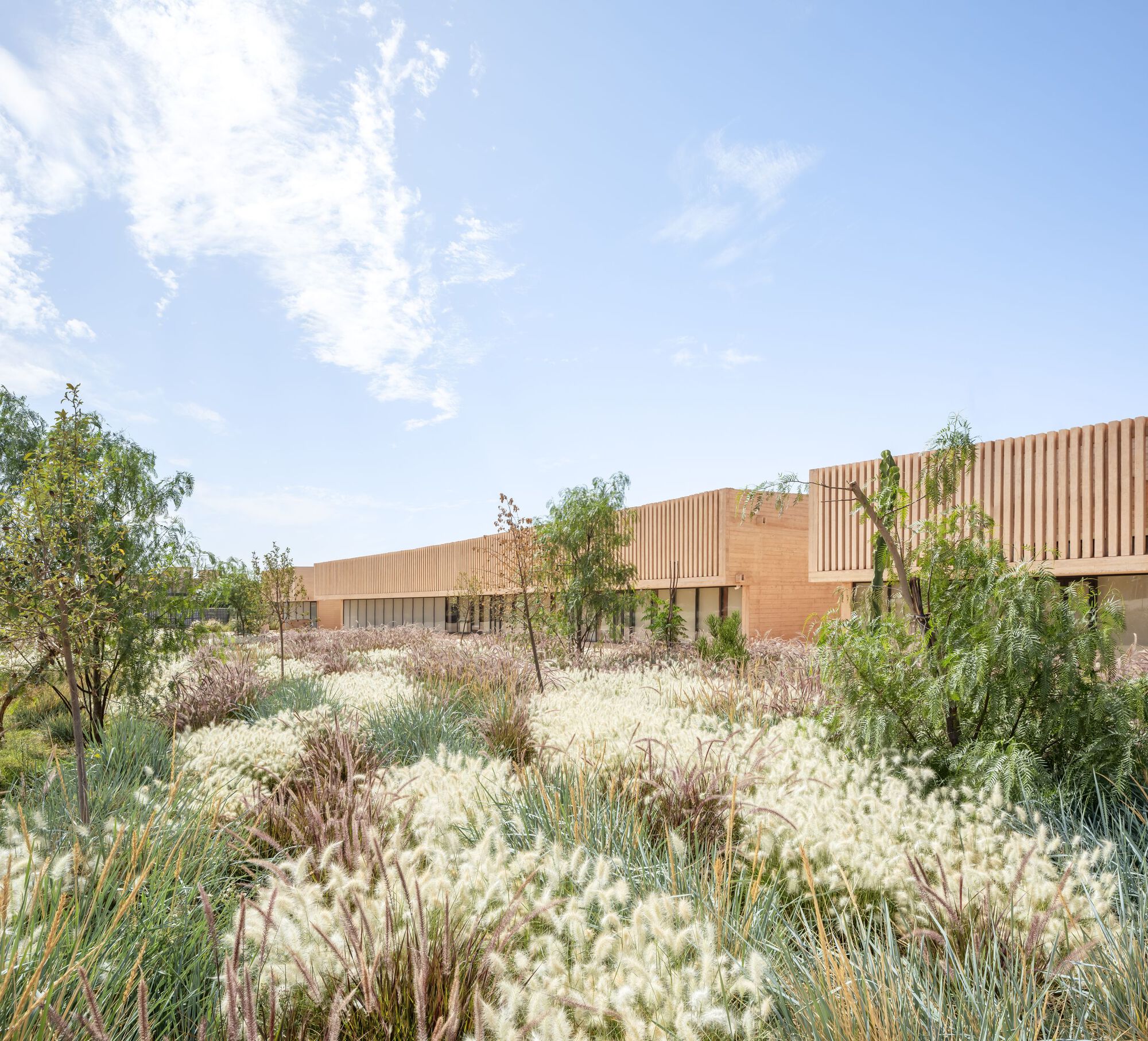 Low horizontal volumes with timber slat screens above native wildflower meadow in summer bloom
