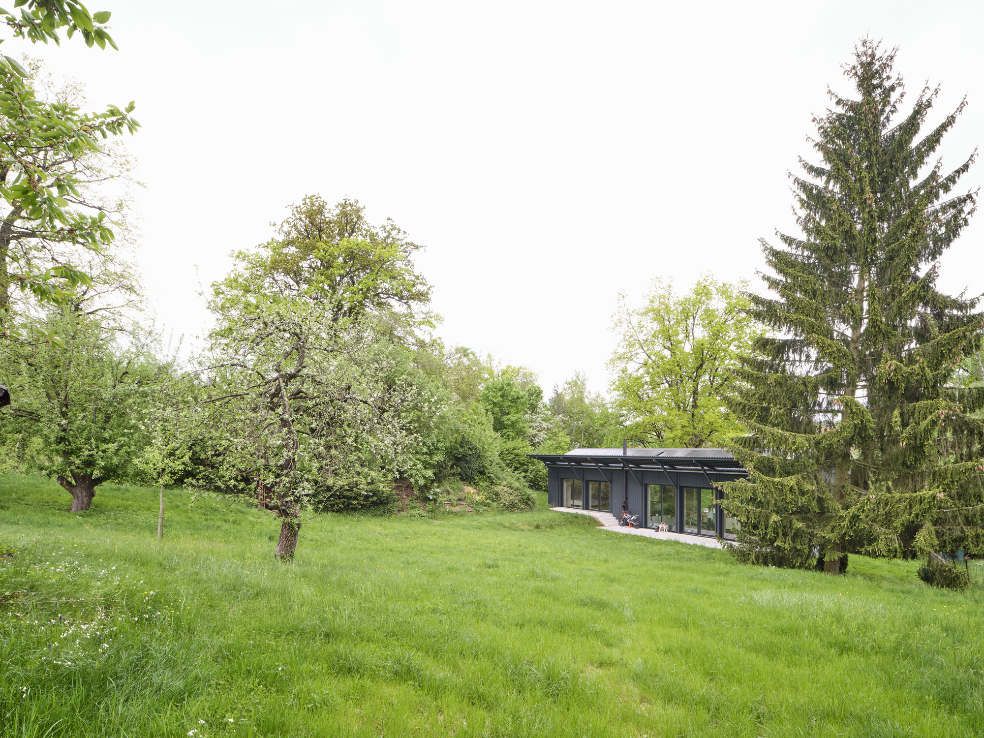 Low-profile structure nestled in a grassy orchard among deciduous trees and evergreens in spring