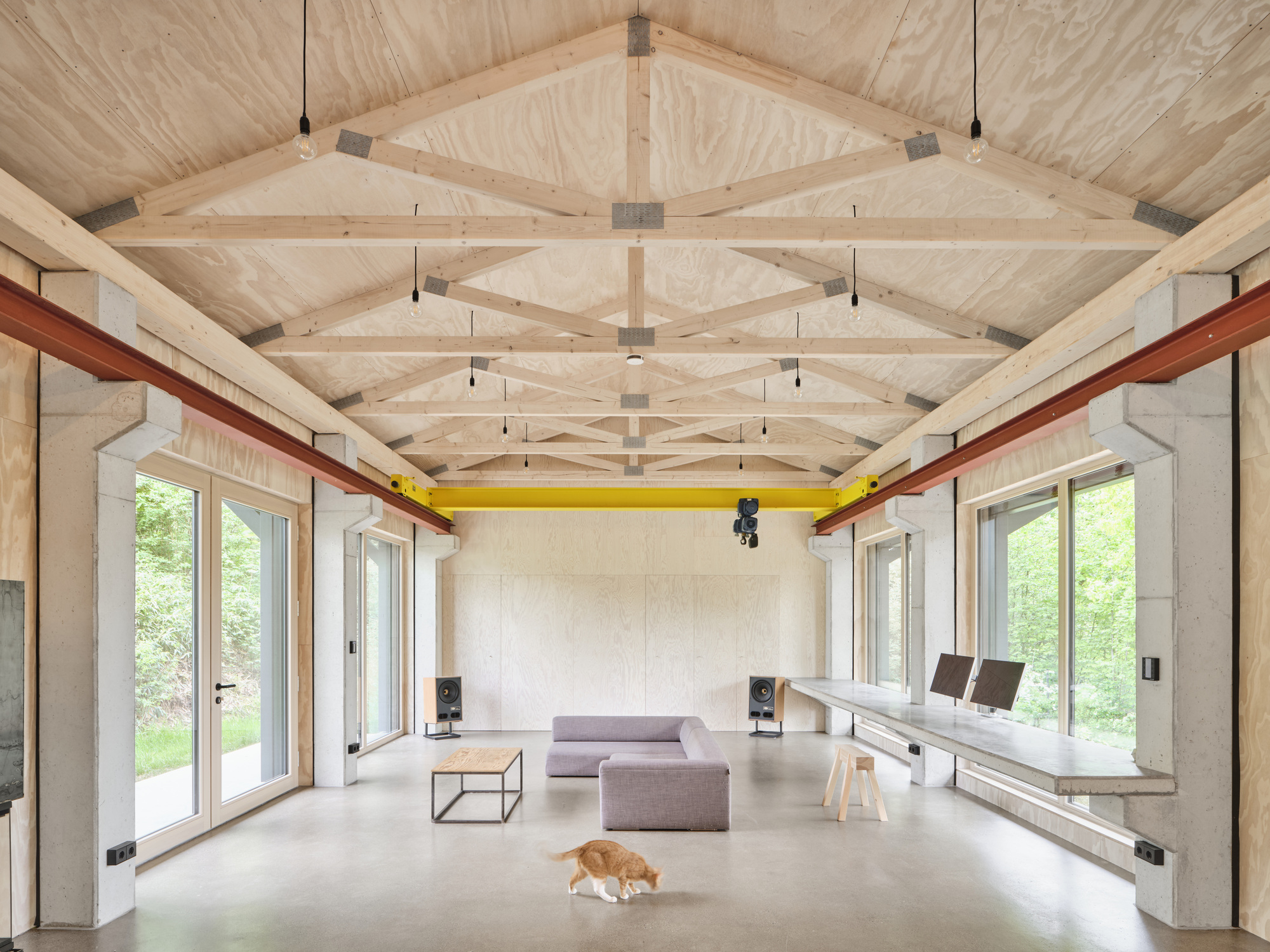 Open interior space with timber truss ceiling and polished concrete floor with a cat resting near glazed doors