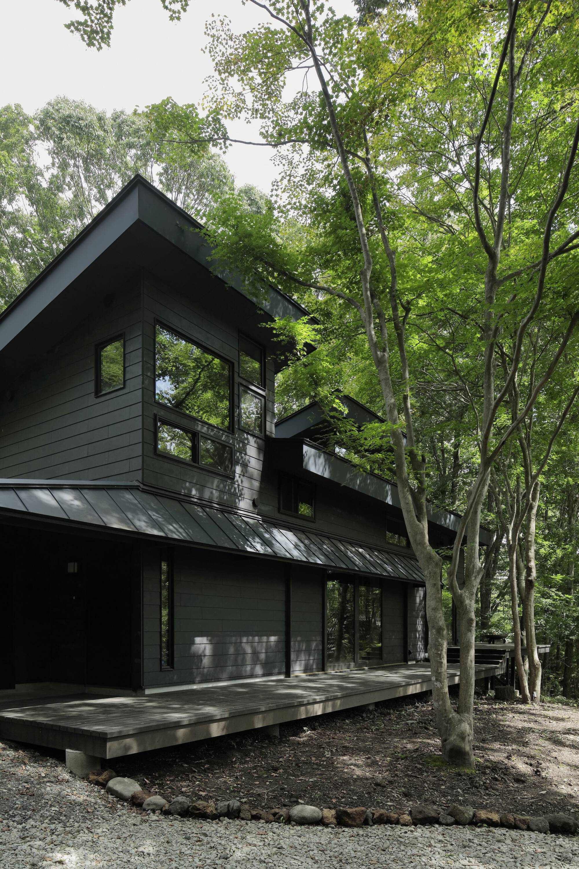Black-clad gabled house with cantilevered deck and metal roof nestled among summer birch trees