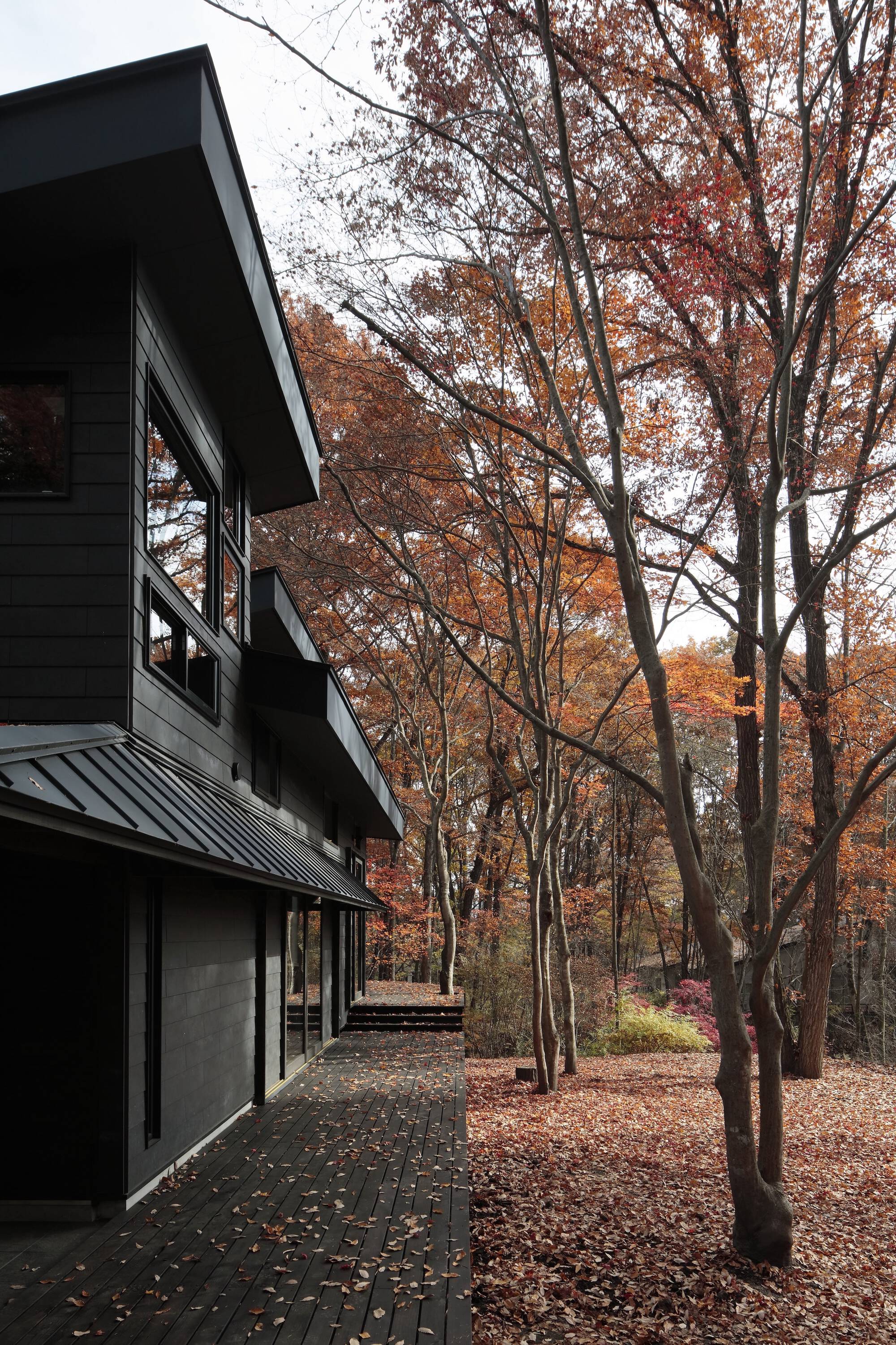 Exterior corner and metal roof overhang amid bare trees with fallen autumn leaves