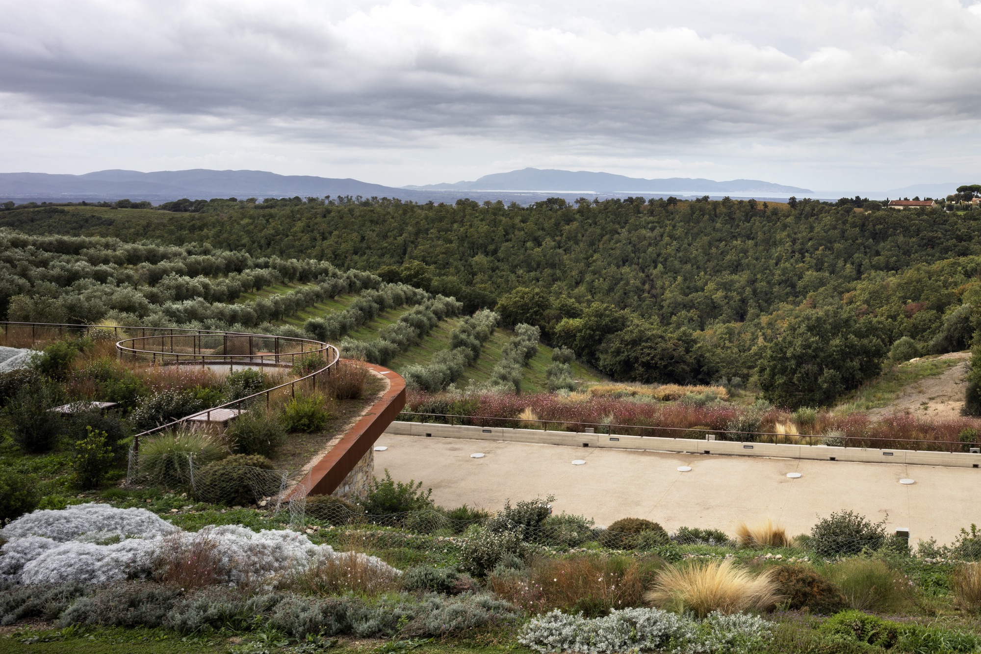 Elevated terrace with planted beds and curving corten steel pathways overlooking an olive grove under cloudy skies