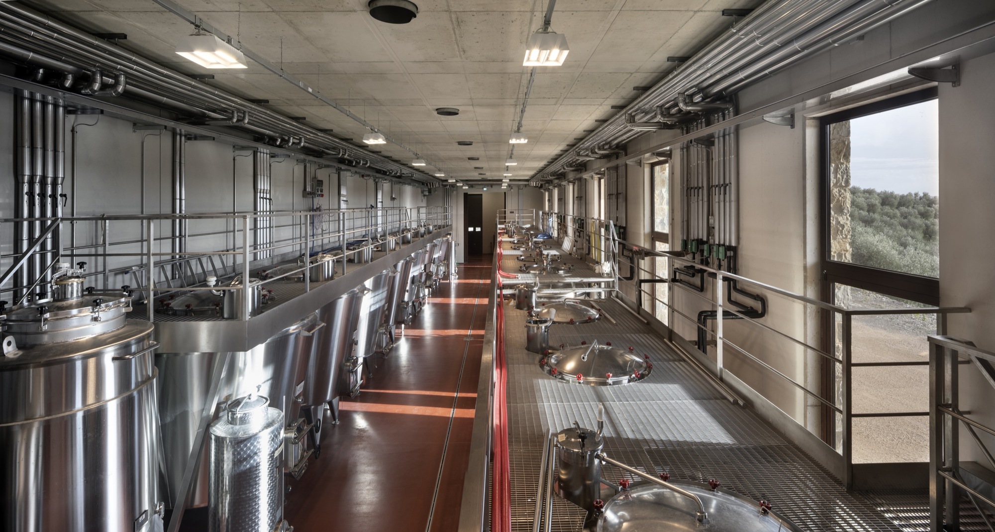 Long view of fermentation room showing steel tanks, elevated catwalks, and window overlooking hillside vineyard
