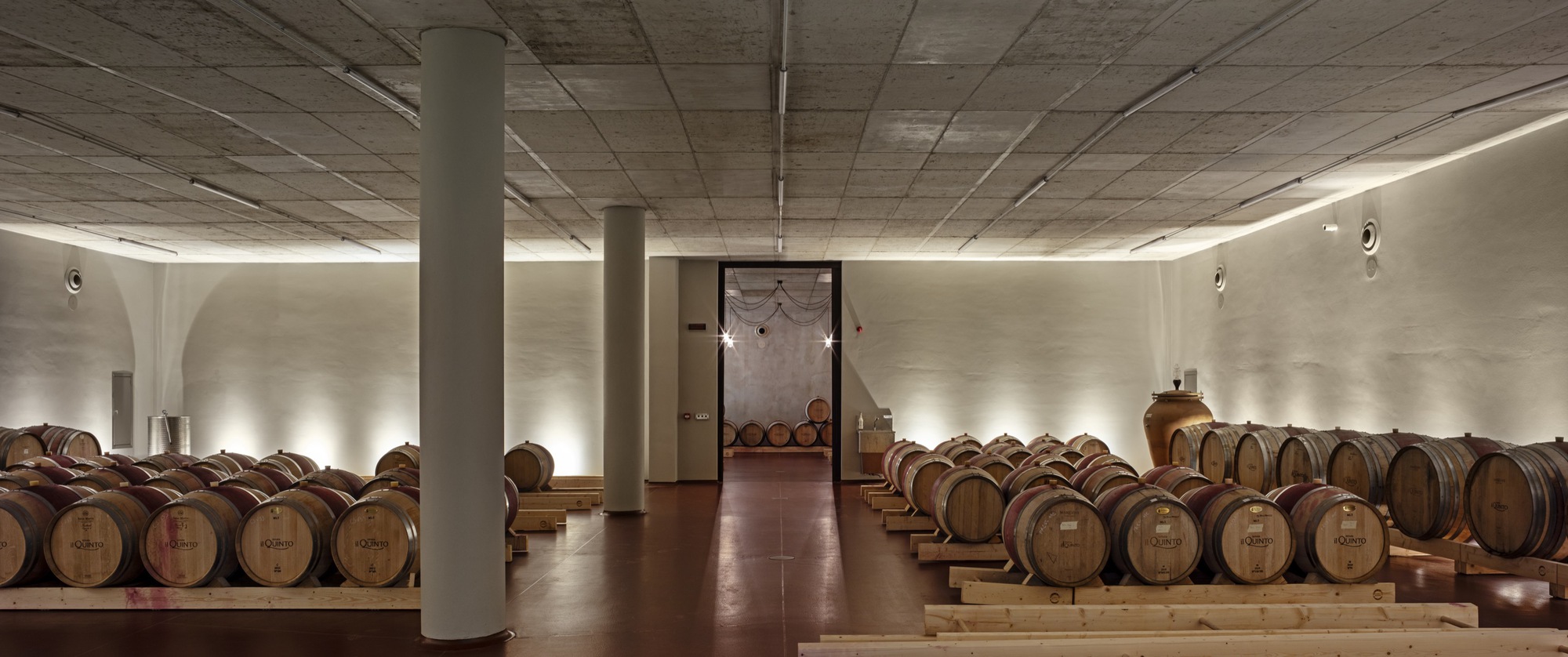 Underground barrel cellar with cylindrical concrete columns and perimeter cove lighting