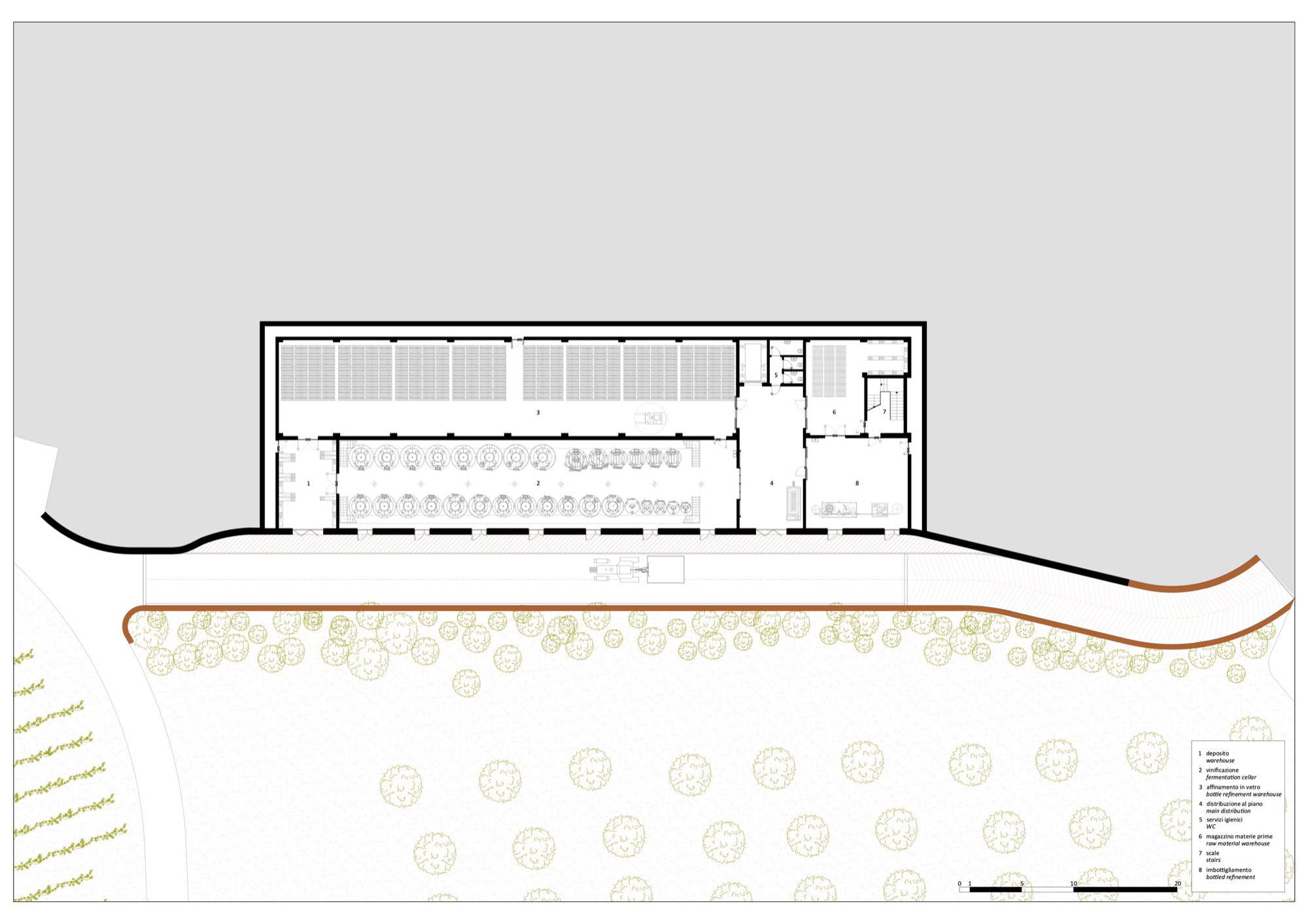 Section drawing through a barrel storage hall with terraced vineyard slope
