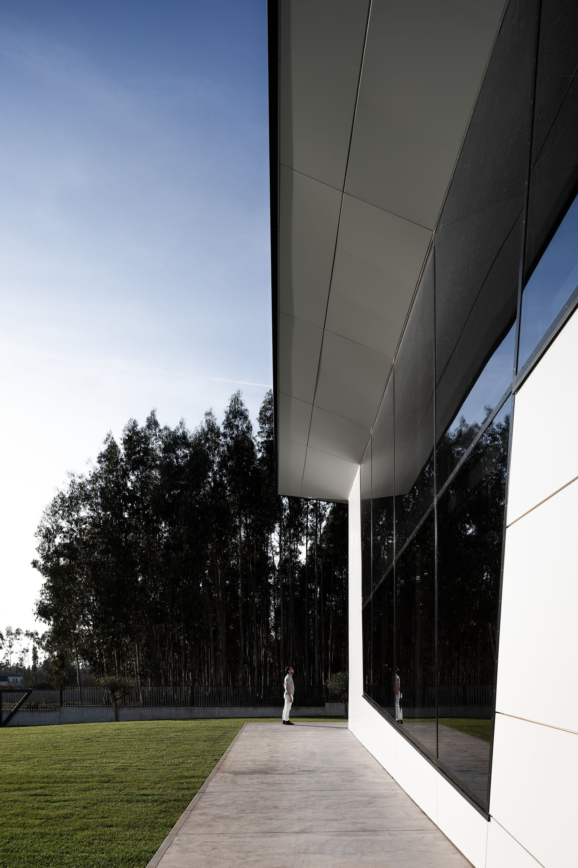 Cantilevered edge framing landscape and reflecting vertical rhythms of trees.
