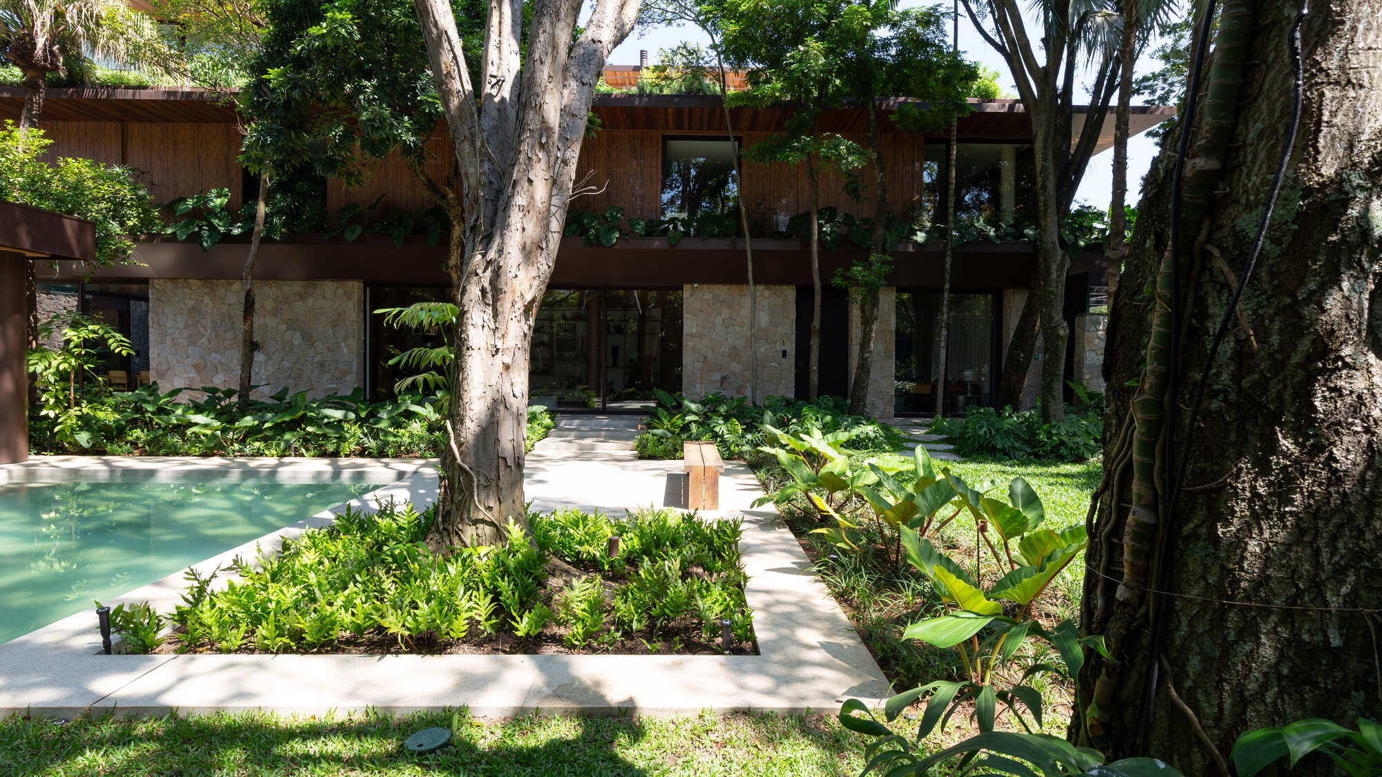 Garden courtyard with pool and concrete pathways winding between existing trees and planting beds
