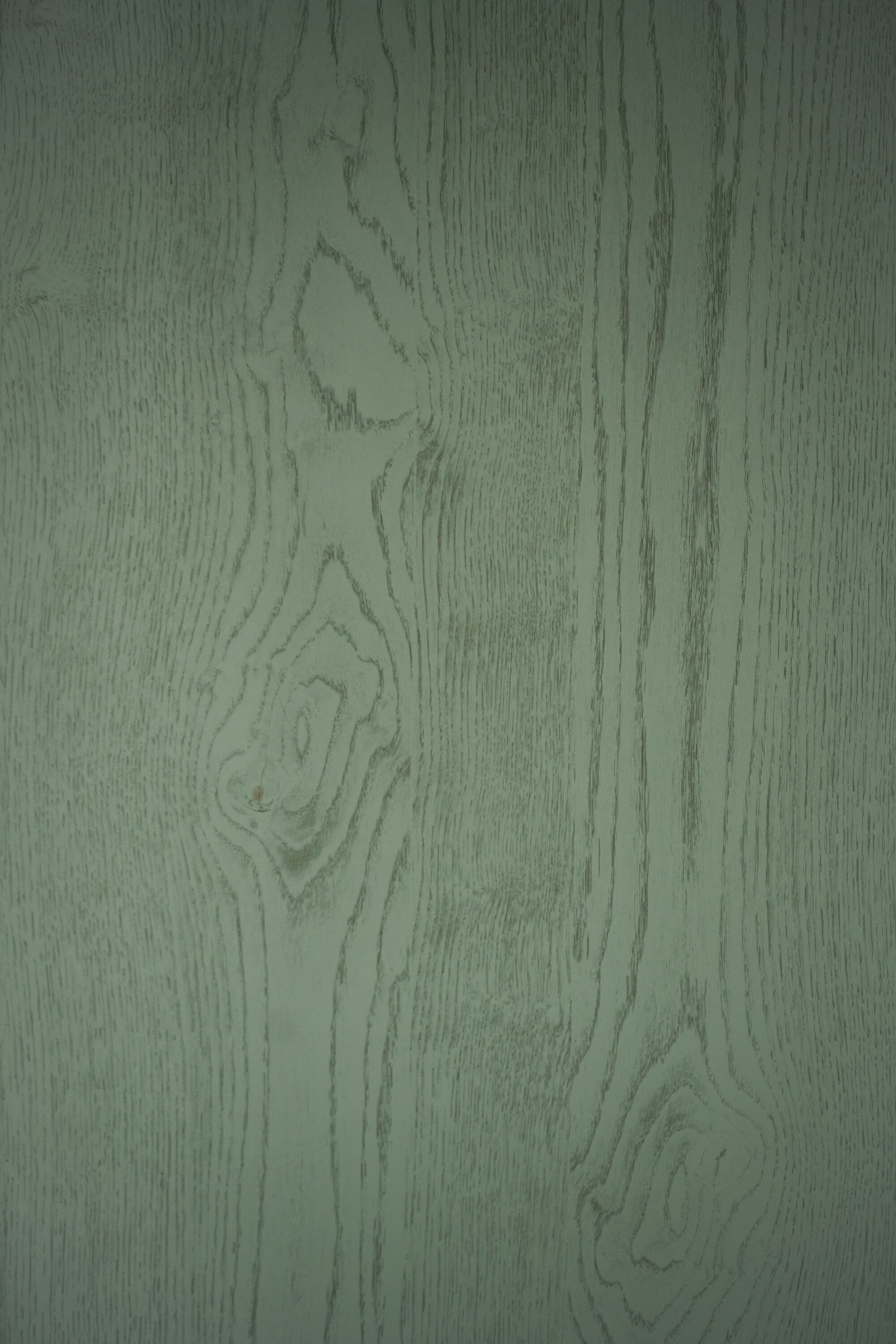 Sage green painted wood planking showing natural grain texture and knothole detail