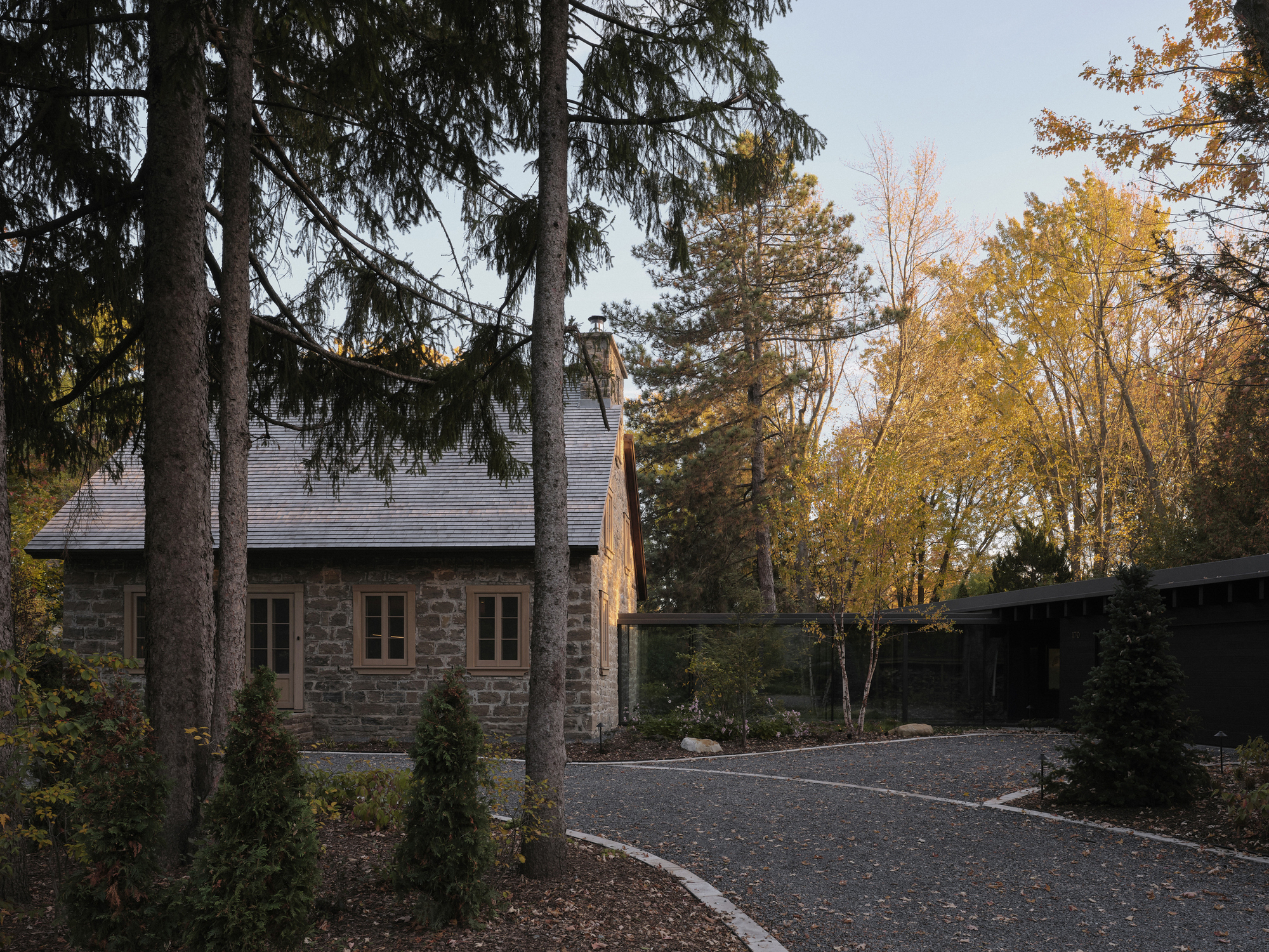 Stone masonry volume with pitched roof and timber windows framed by tall evergreen trees in autumn