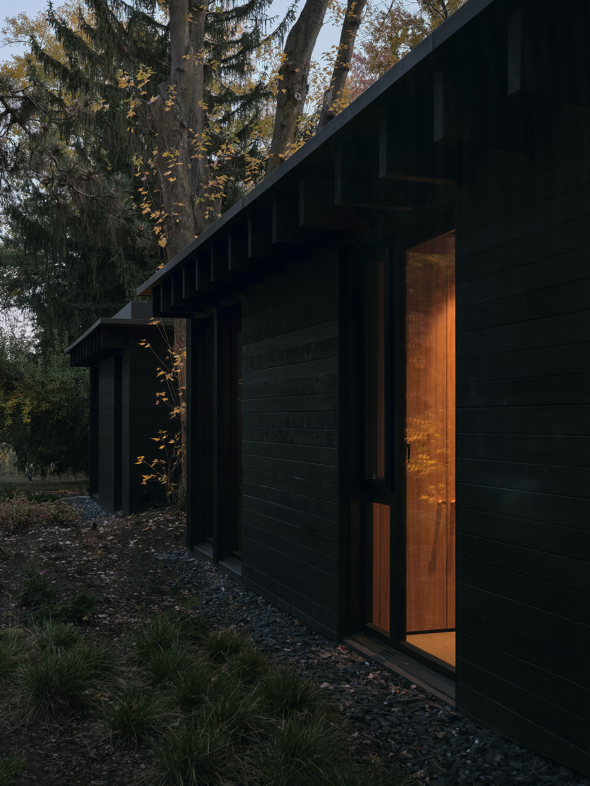 Black timber facade with glazed door glowing warmly at dusk among conifers