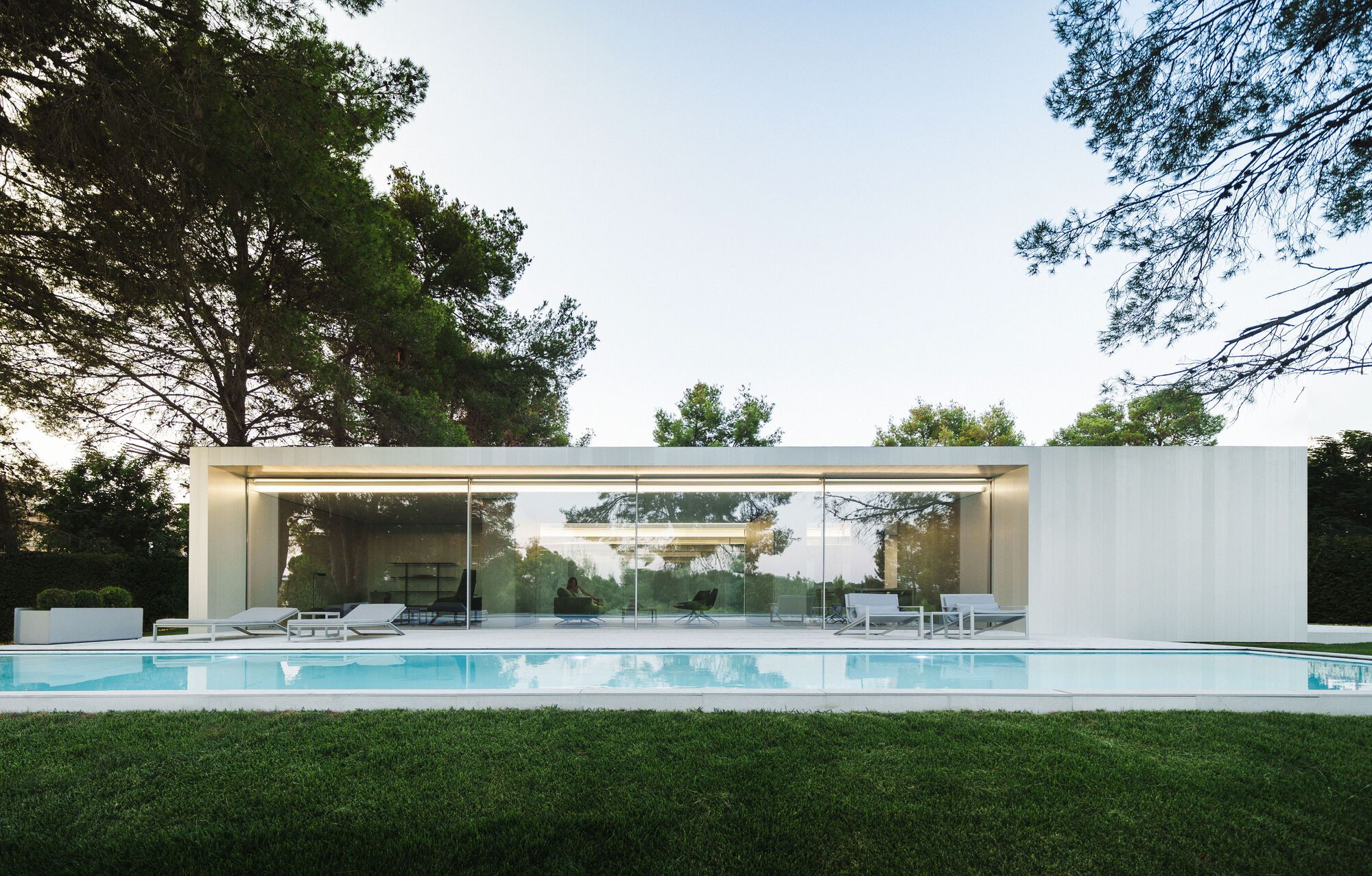 Garden view of the glass pavilion with flat roof and swimming pool surrounded by pine trees
