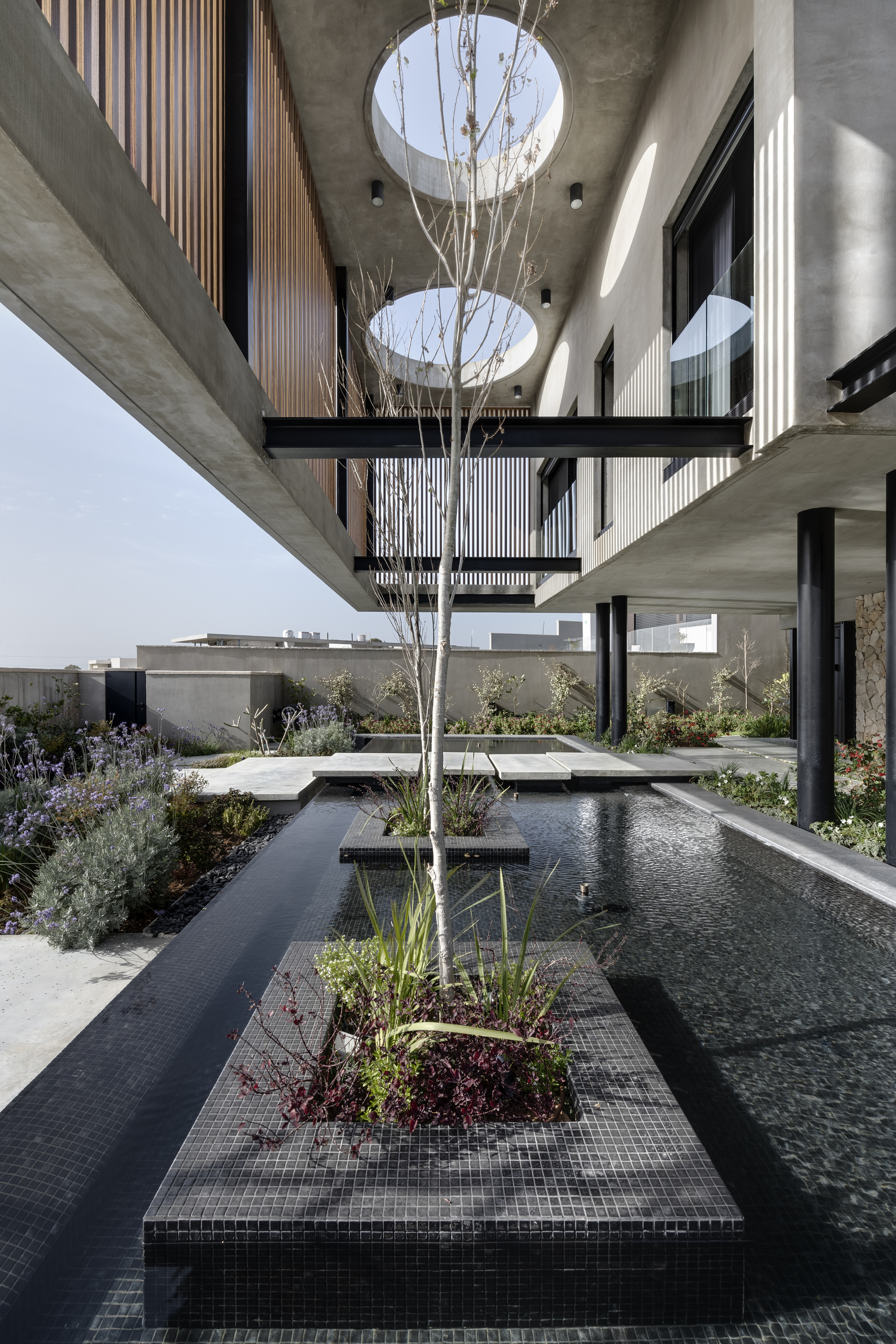 Central courtyard pool with tiled planting island and young tree beneath circular roof openings