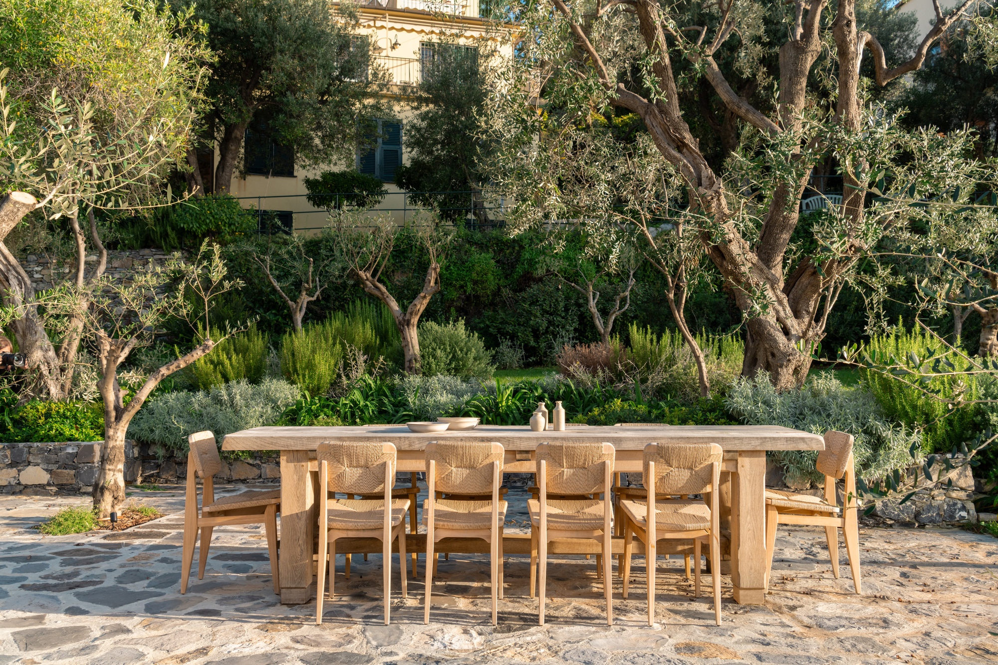 Outdoor timber dining table and chairs on stone paving beneath olive trees