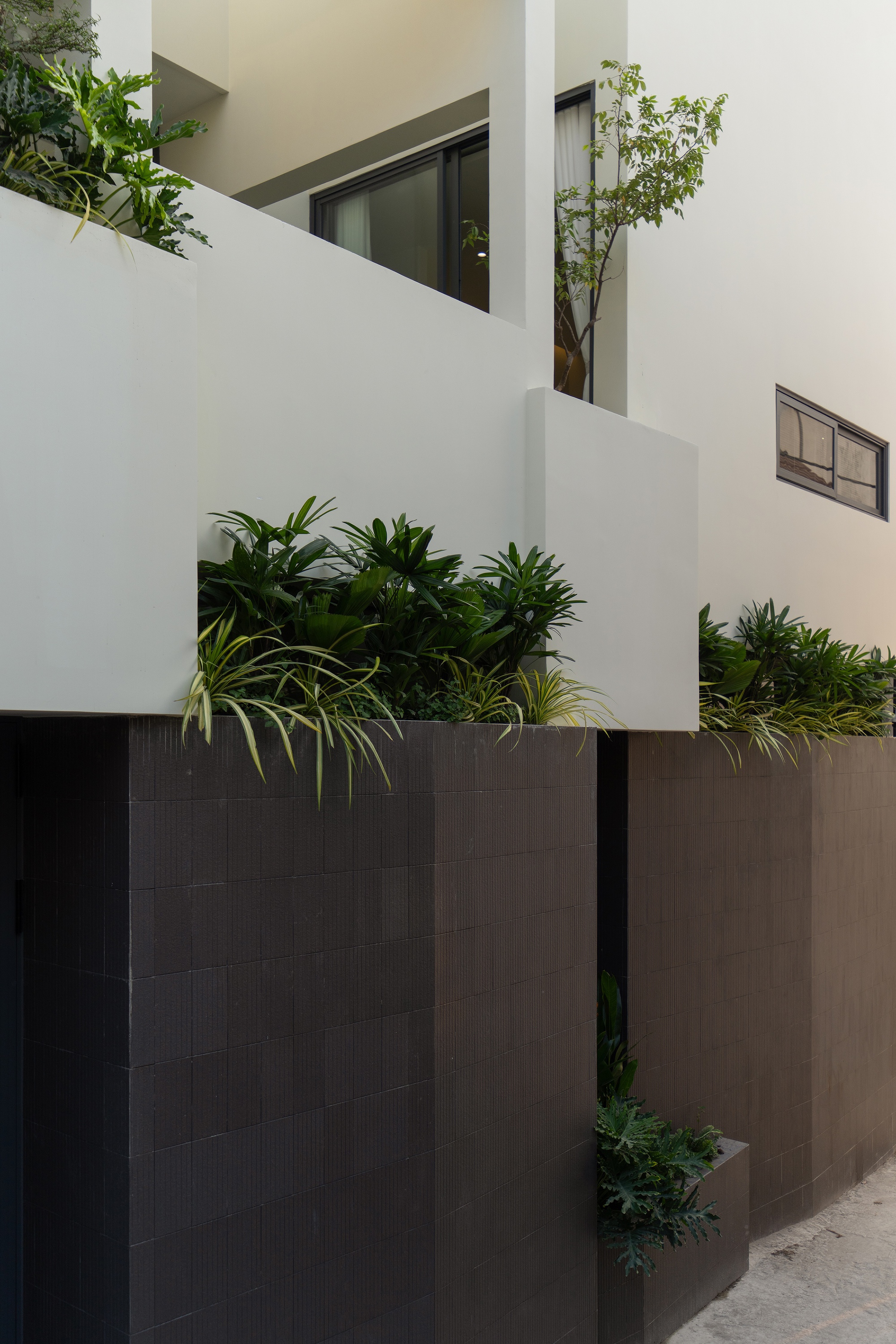 Close-up of the staggered white volumes with planted terraces and horizontal window openings