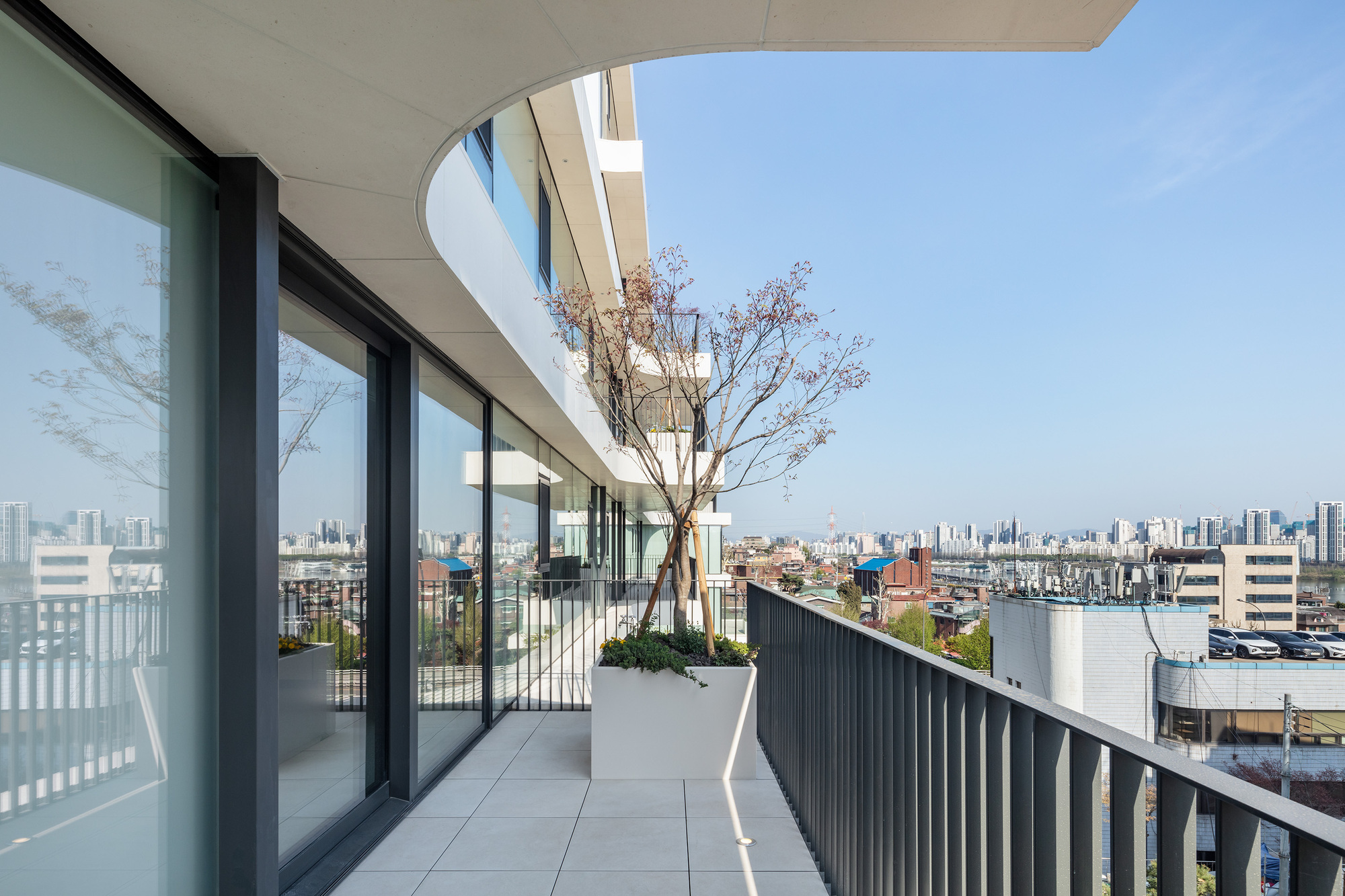 Curved balcony with glass doors, white planters holding a small tree, and city views beyond