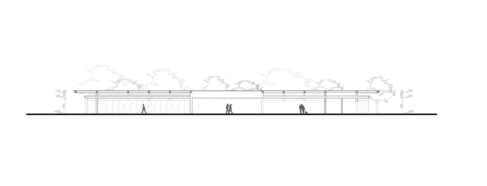Elevation drawing showing a low linear pavilion with flat roof and columns beneath rows of trees
