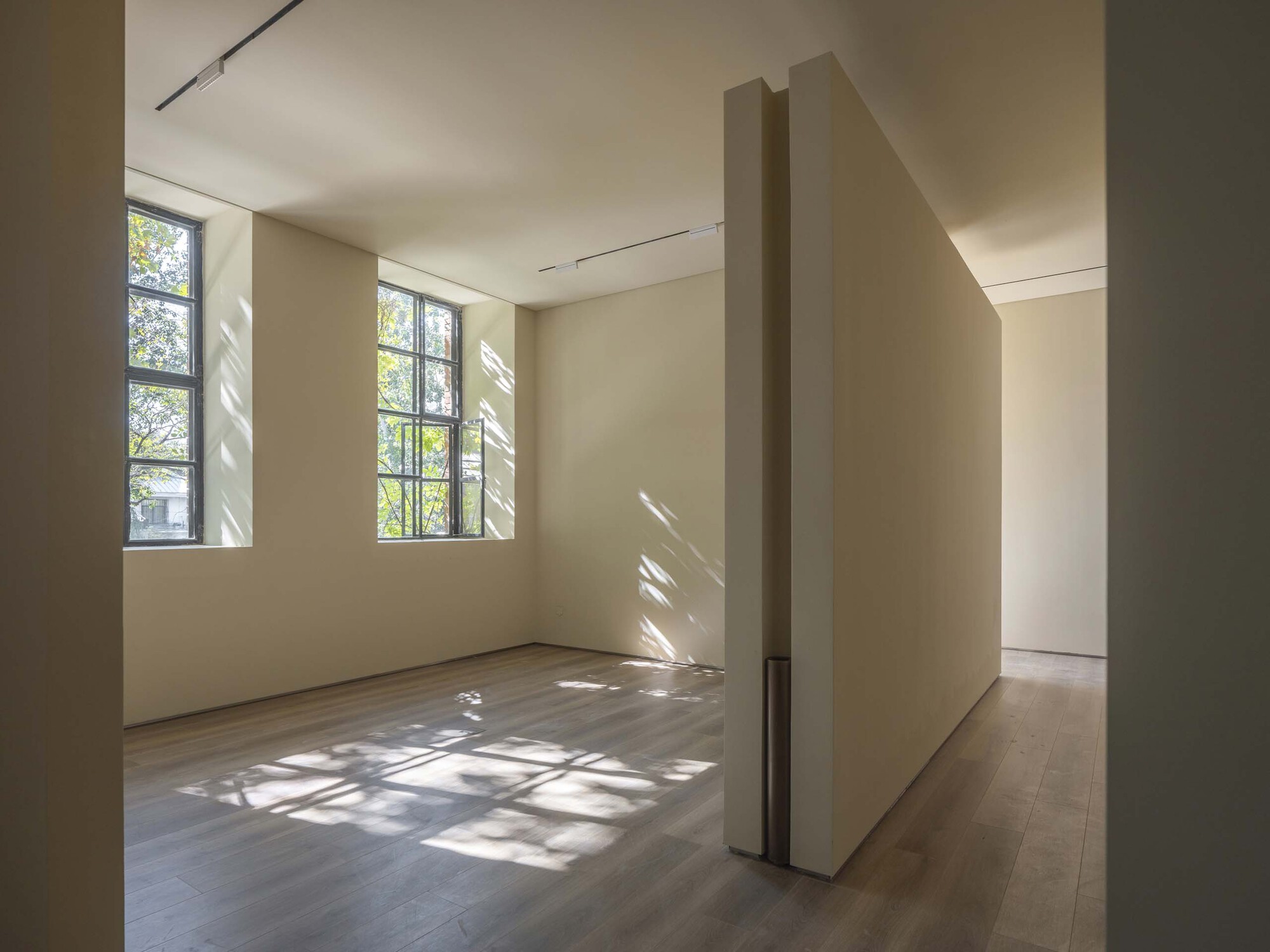 Corner room with steel-framed windows casting leaf shadows across timber floor and cream walls