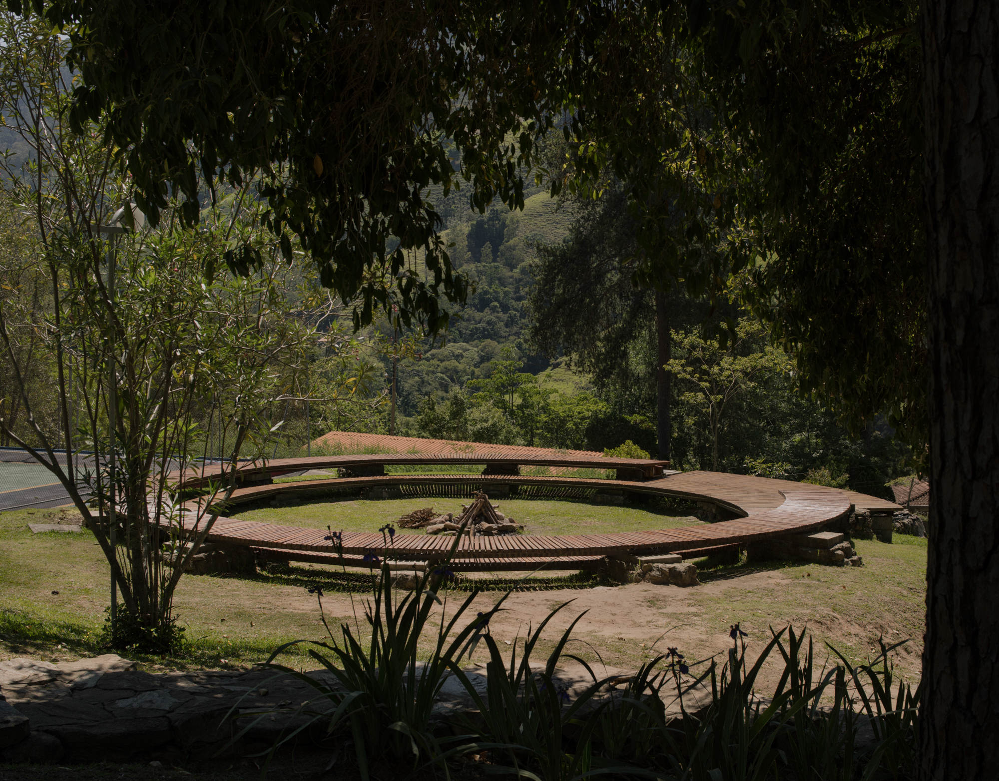 Curved wooden deck viewed through foreground grasses and shade of overhanging trees