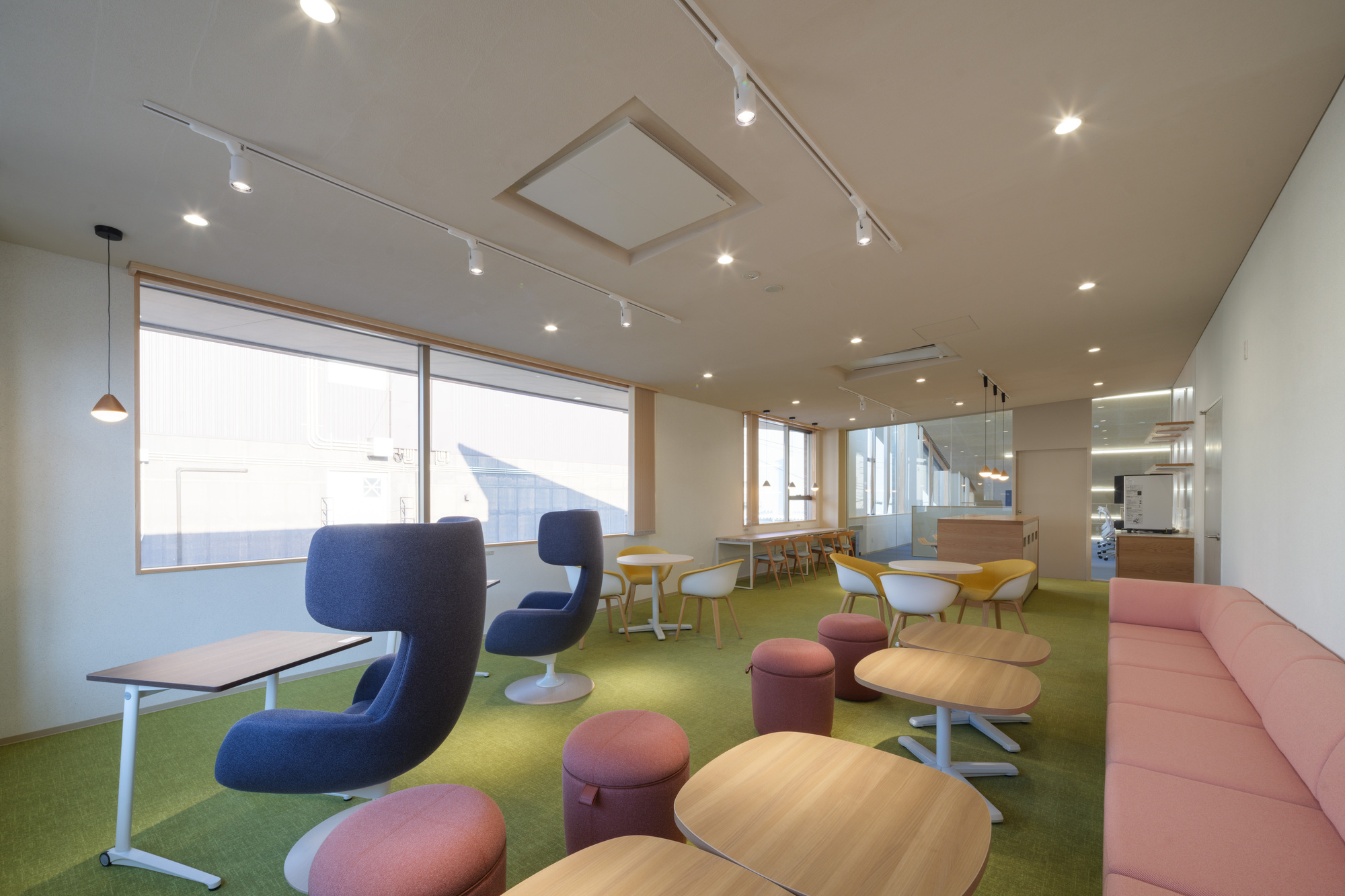 Informal lounge with green carpet, pink curved seating, and timber-framed windows under track lighting