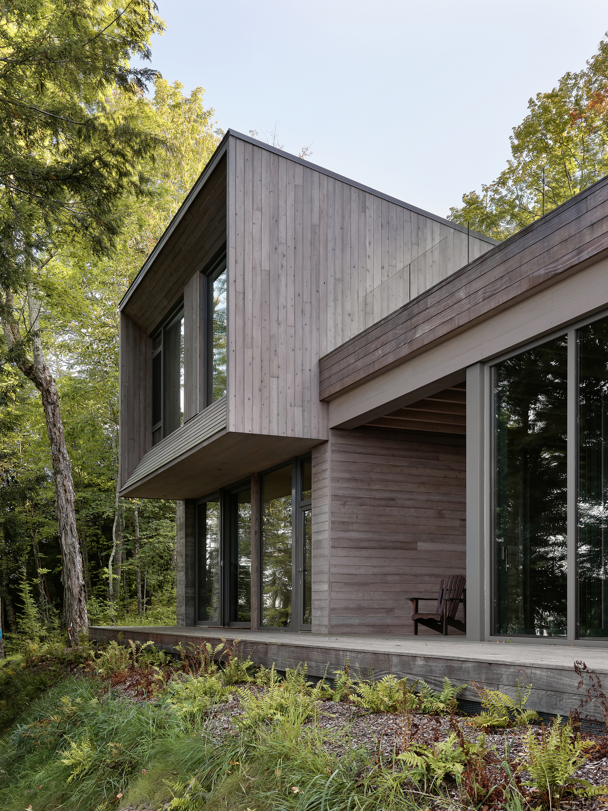 Cantilevered timber-clad volume elevated above a planted slope with ferns and grasses