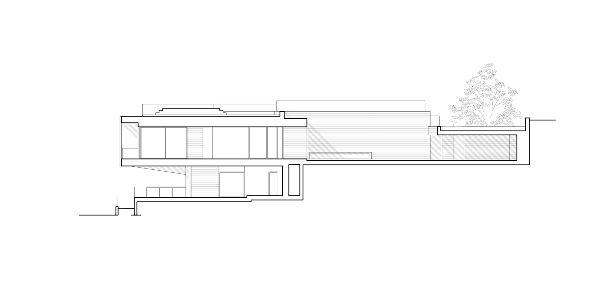 Longitudinal section drawing showing split-level interior volumes with a tree in the upper courtyard