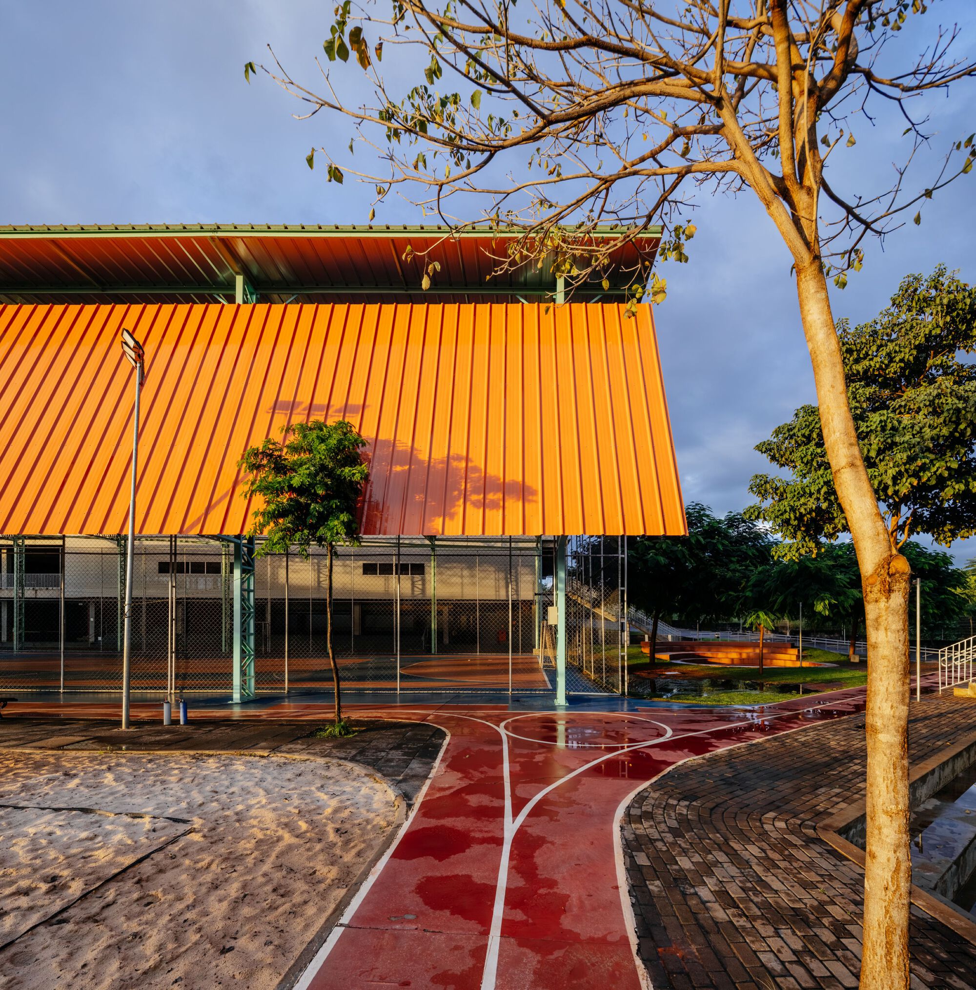 Orange corrugated facade with mesh screens below and a leafless tree in the foreground at dusk