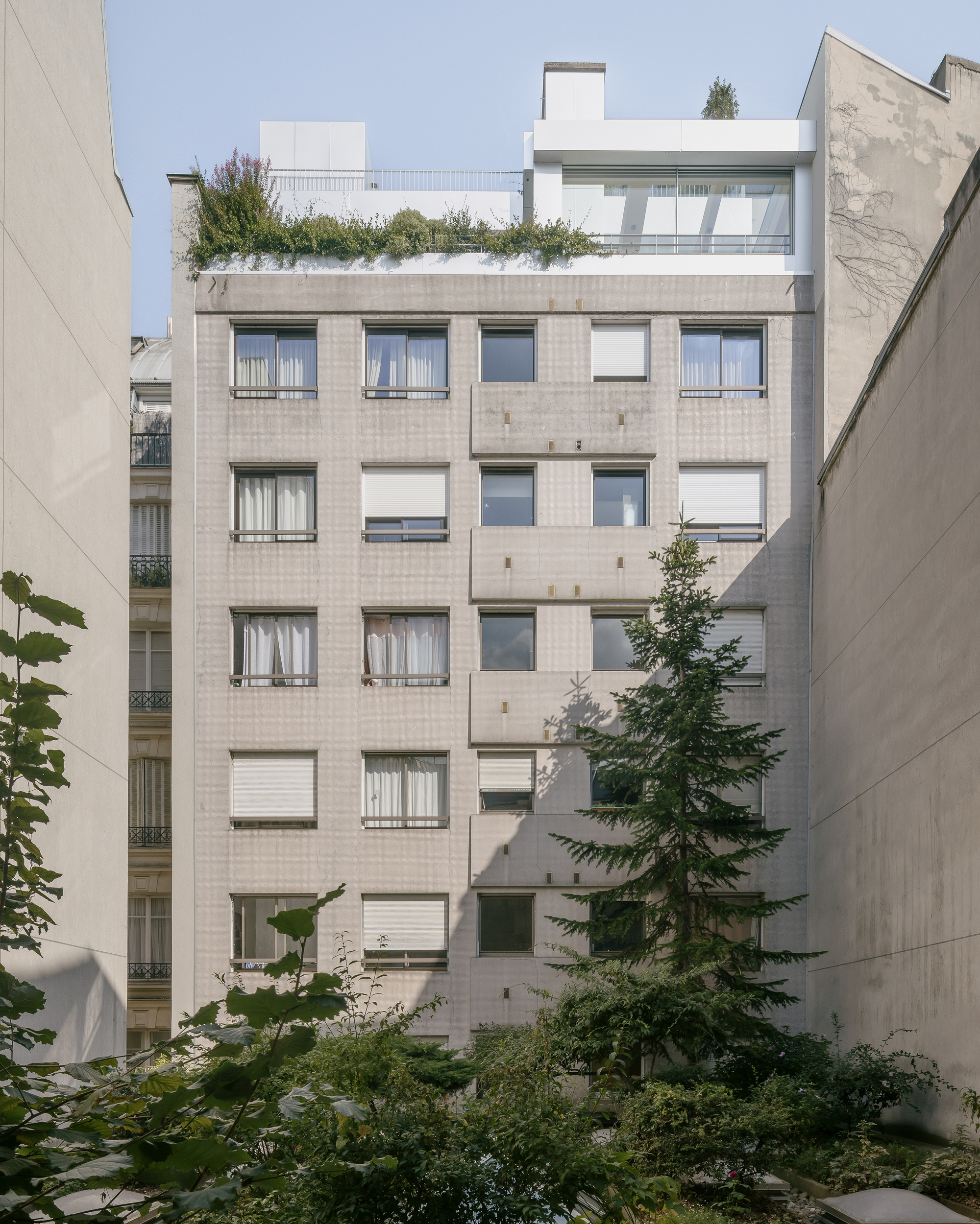 Rear facade with punched windows and rooftop terrace planted with greenery under clear skies