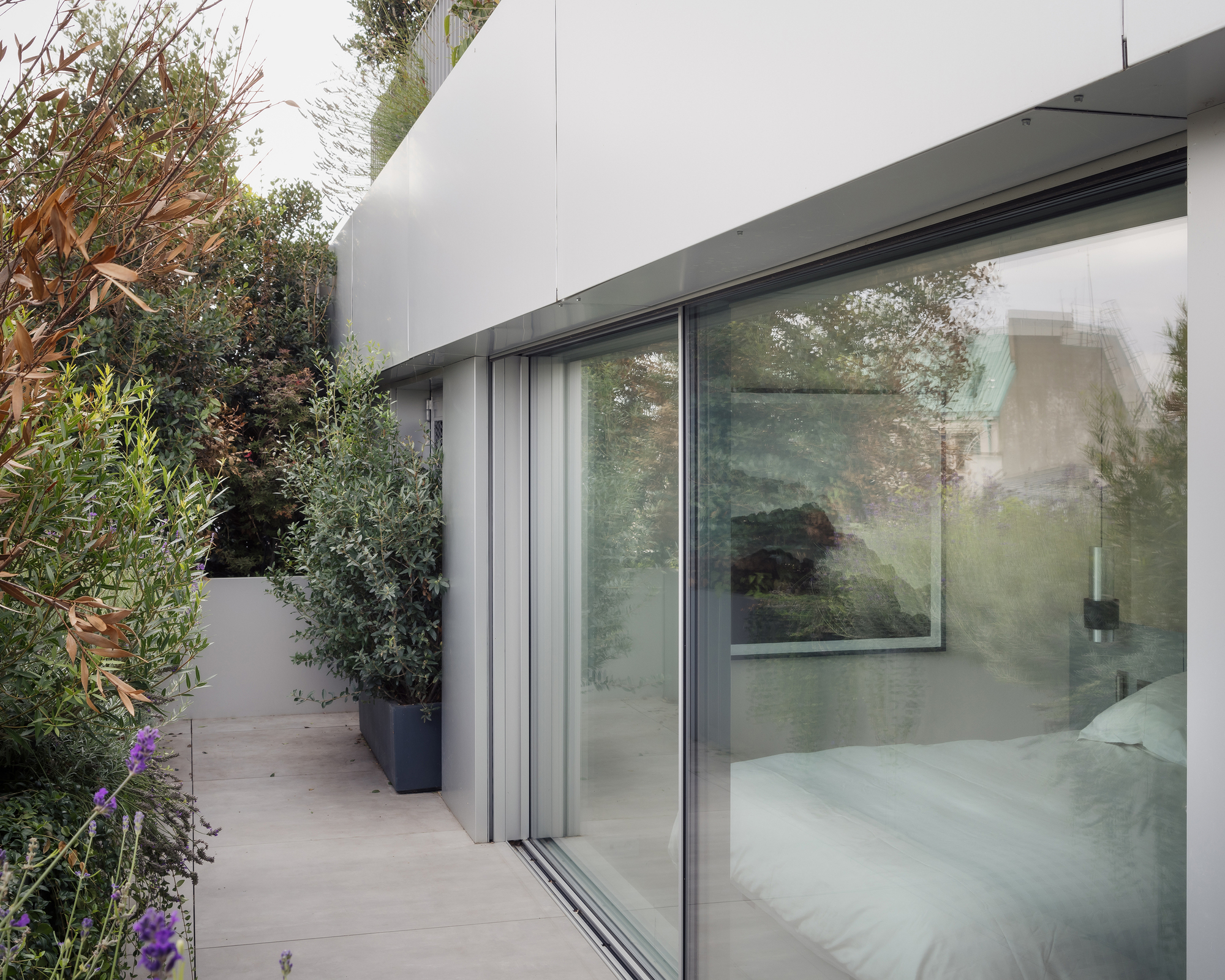 Sliding glass wall opening onto a terrace with potted olive trees and flowering plants