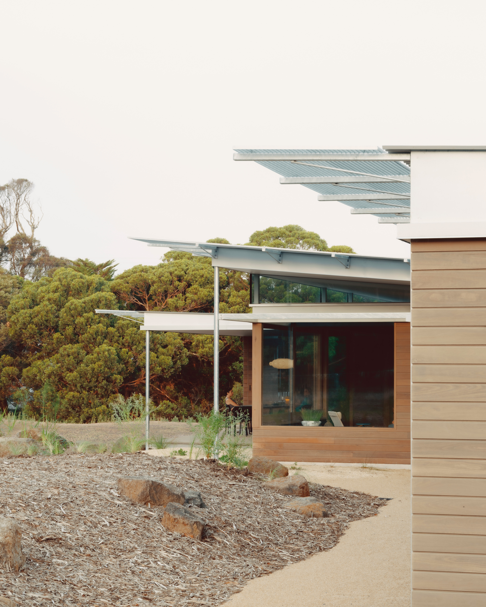 Angled rooflines with metal canopies and planted gravel beds beside horizontal timber cladding