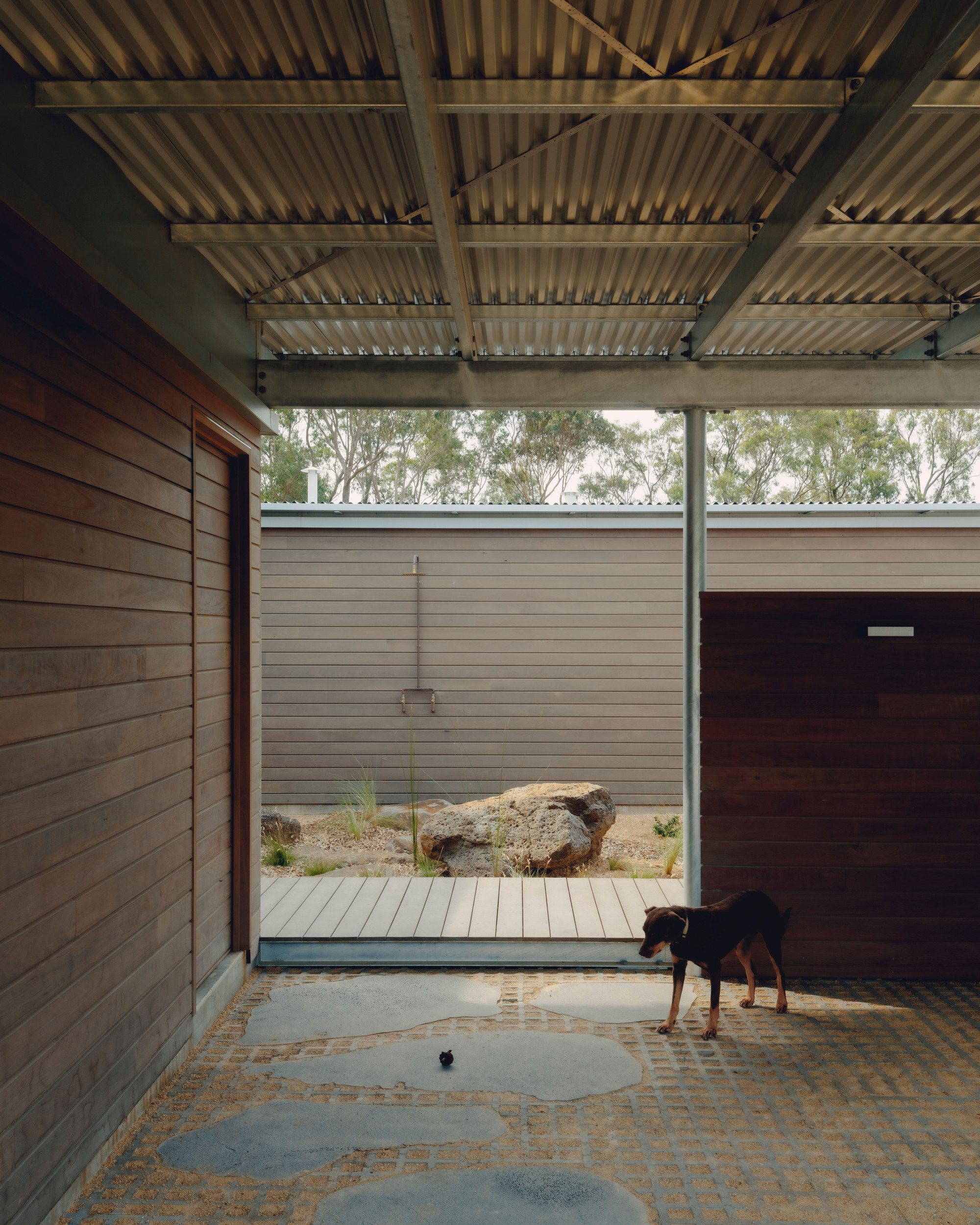 Covered entry courtyard with circular pavers and a dog standing near timber walls and rock garden