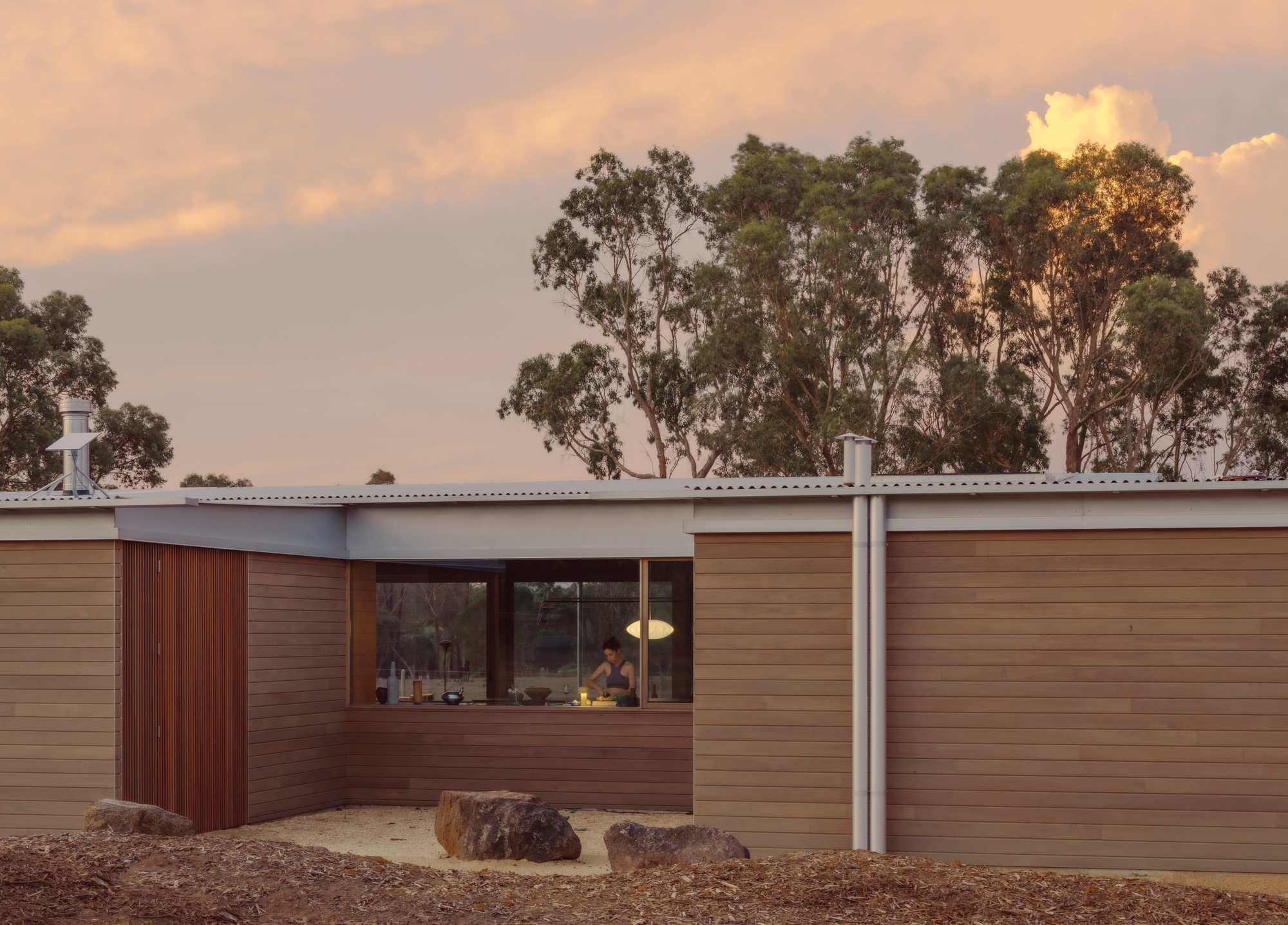 Horizontal timber cladding facade with central window opening at dusk beneath eucalyptus trees