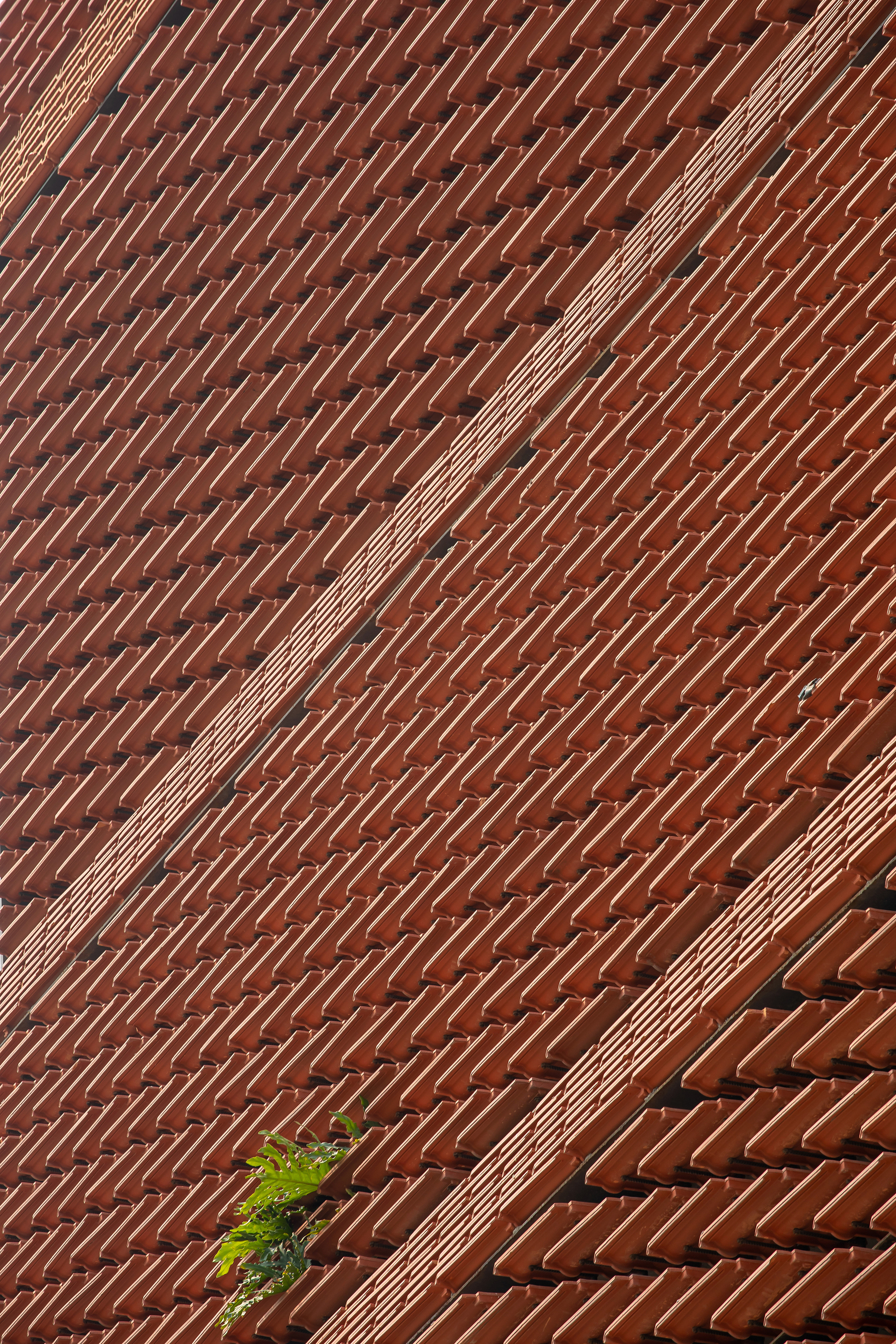 Diagonal brick pattern in red clay with mortar joints and a small planted opening below