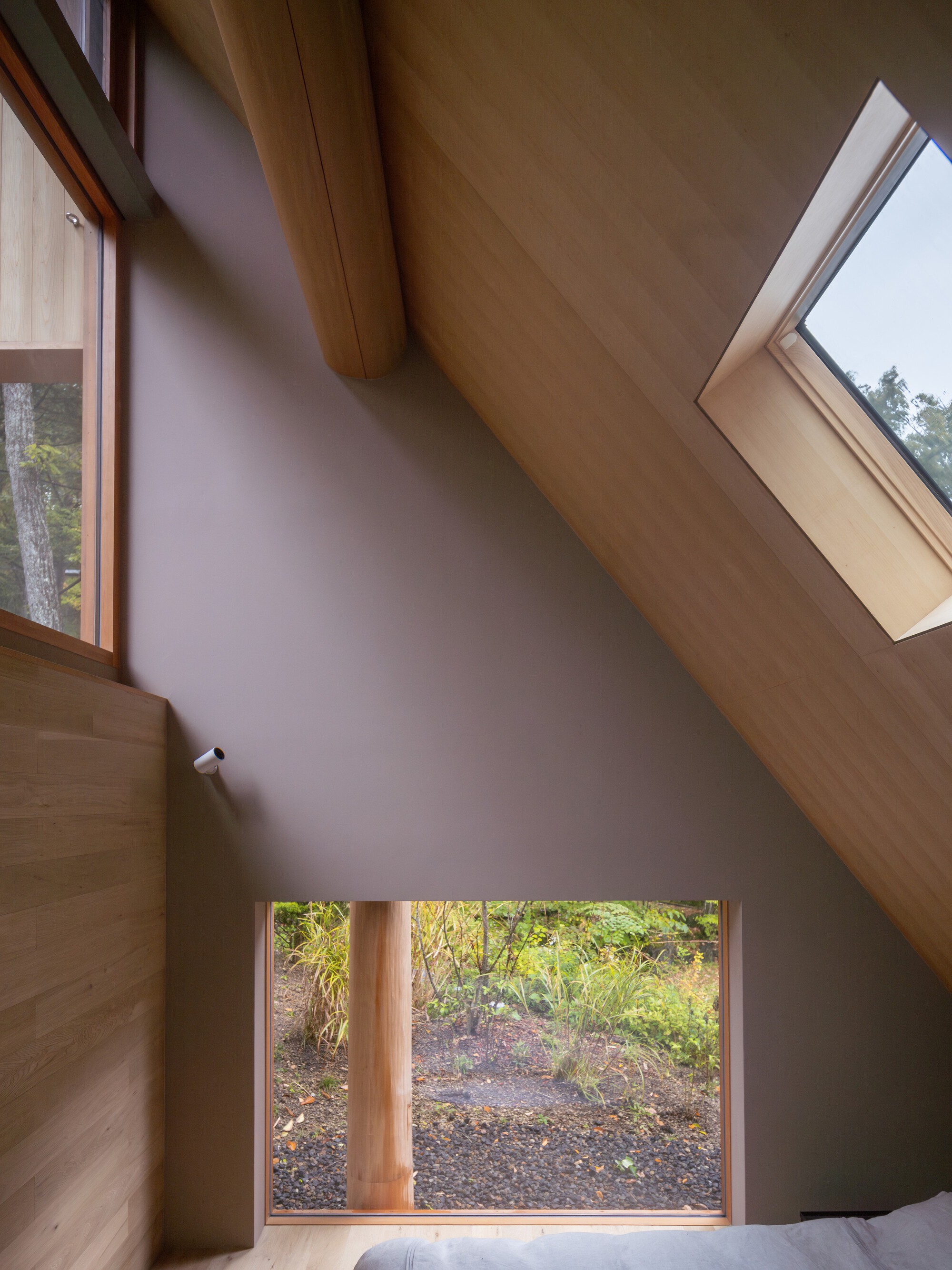 Interior corner with angled plywood ceiling, skylights, and low window framing forest undergrowth