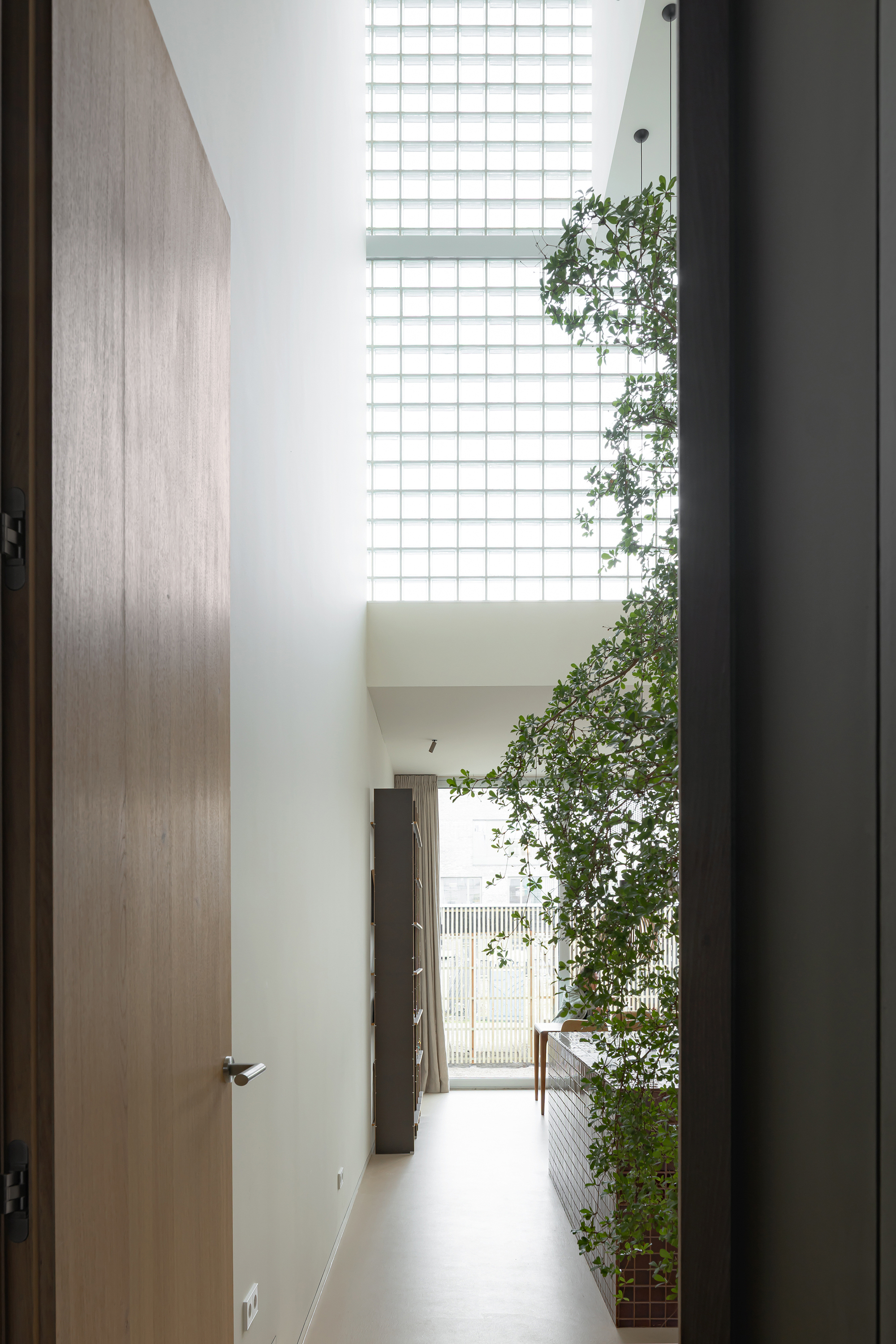White hallway leading past timber doors toward glass block windows with a tree visible to the right