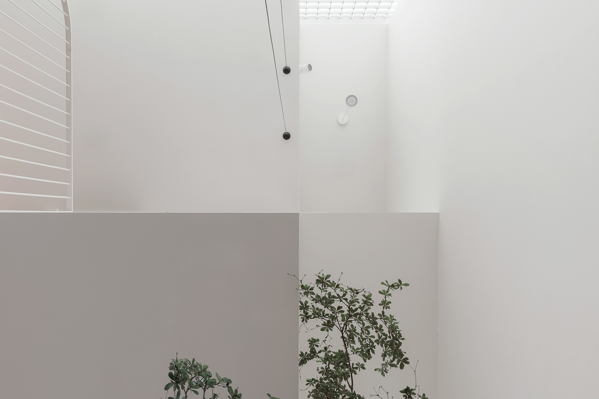 Interior courtyard with white walls, glass block skylight, and small planted trees below