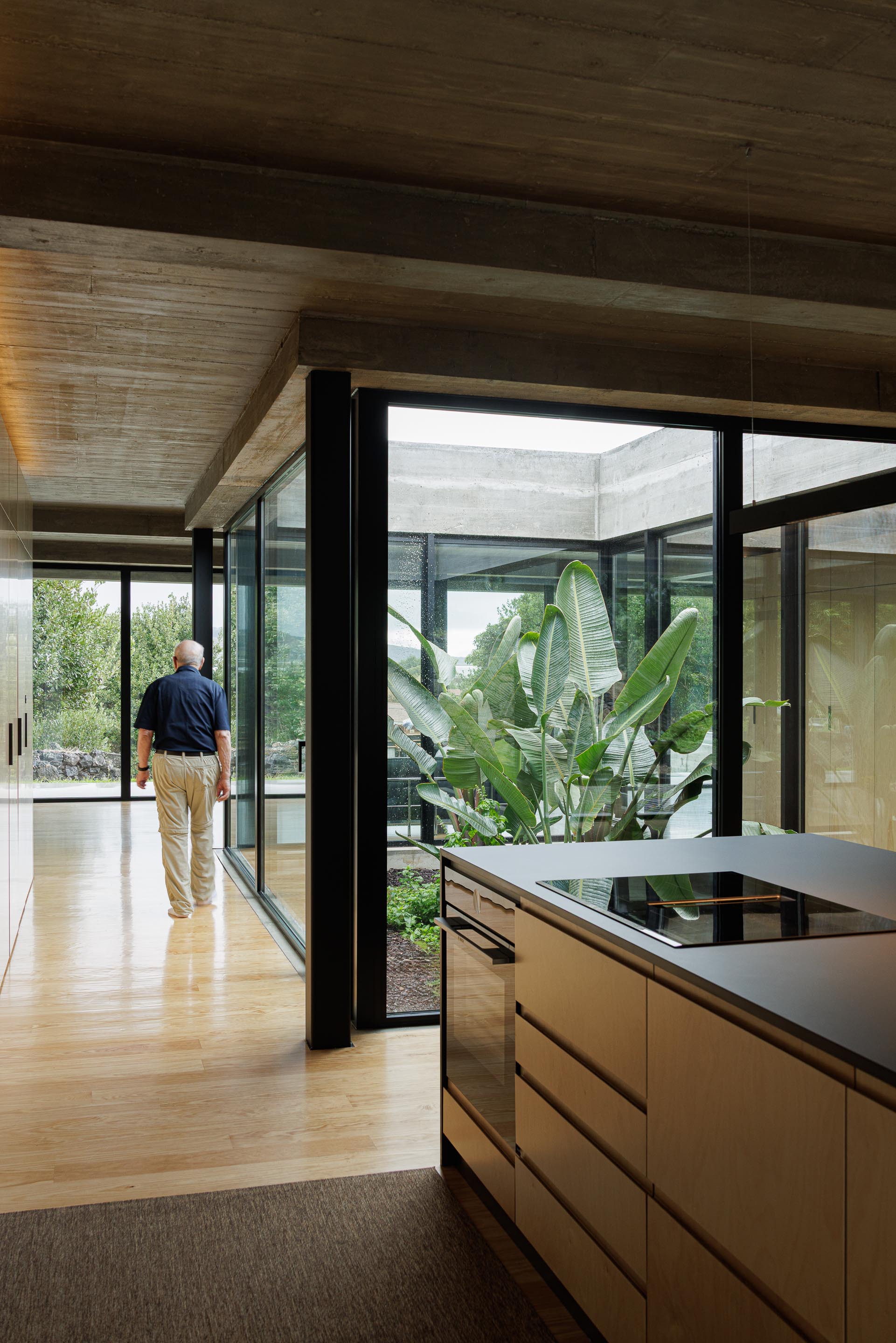 View from kitchen toward corridor with figure walking past glazed courtyard planted with banana palms