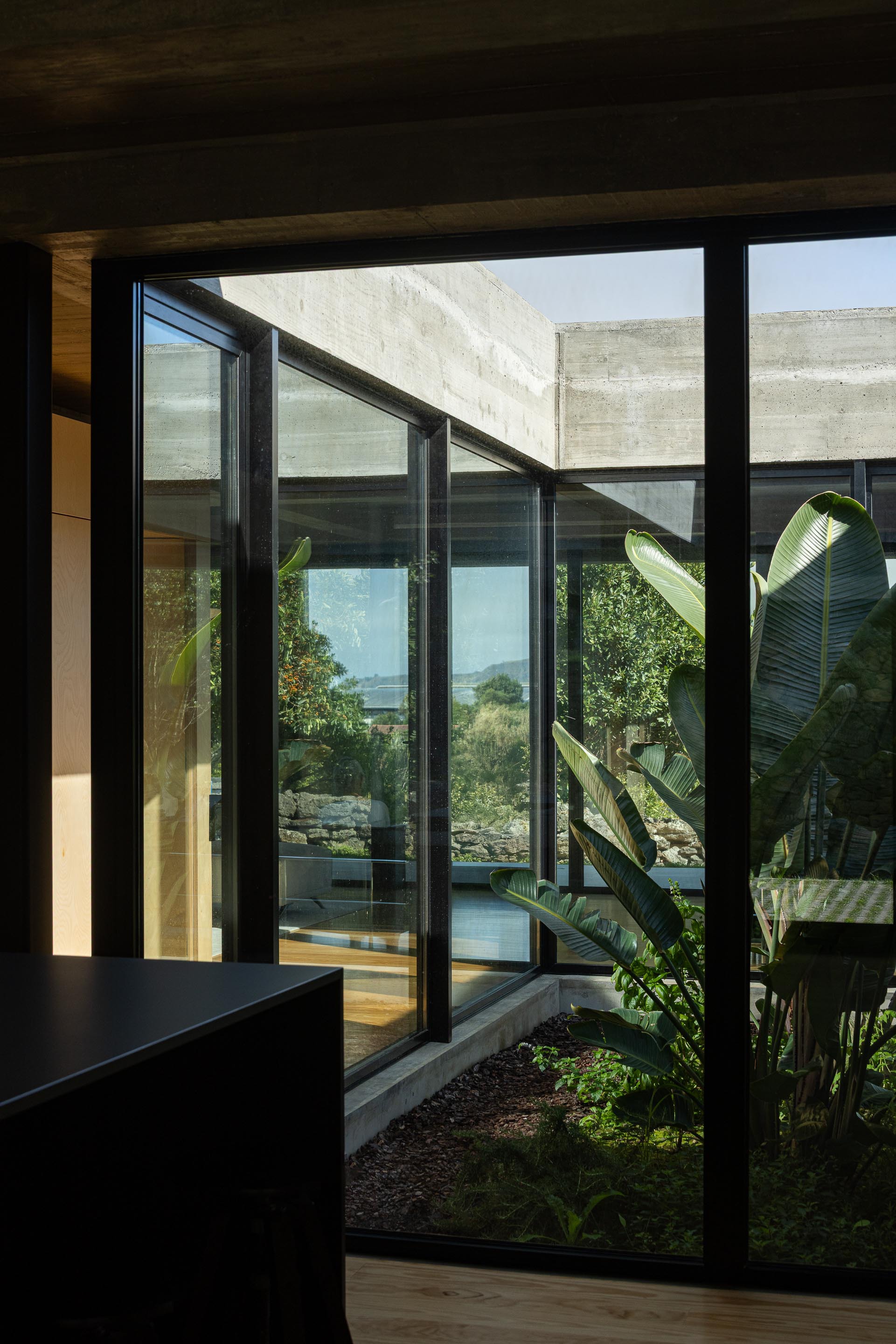 Glazed door looking into a sunlit courtyard with banana plants beneath a diagonal concrete beam