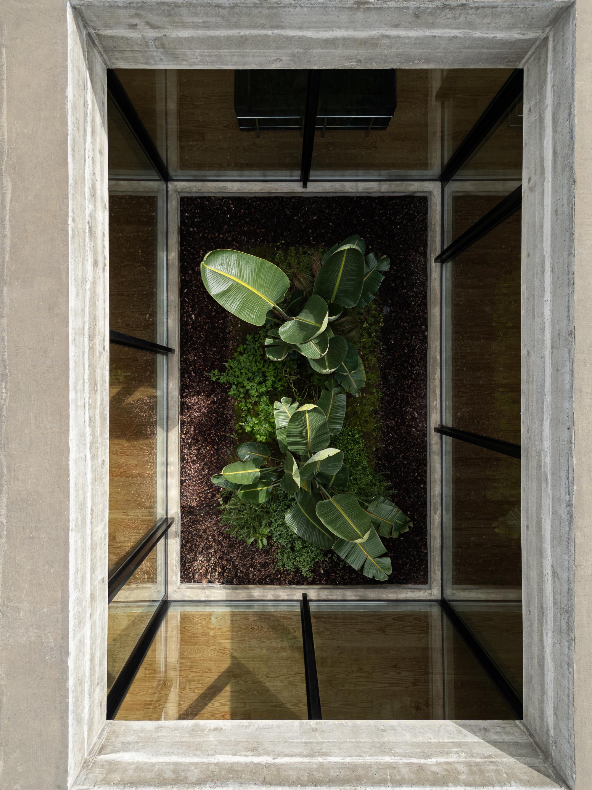 Top-down view into a courtyard with banana plants and grasses in dark soil framed by concrete beams