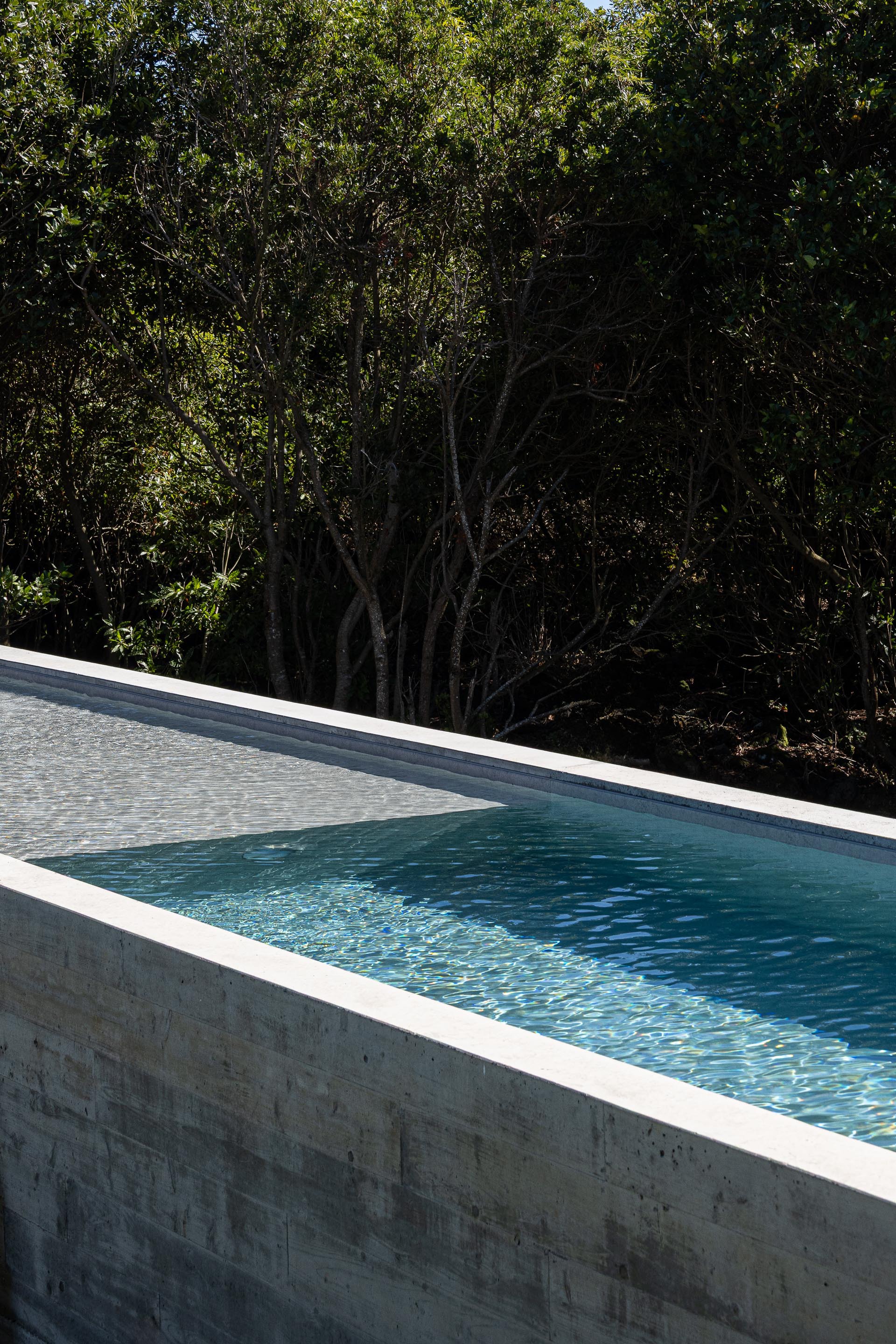 Elevated concrete pool edge with board-formed walls overlooking dense forest canopy
