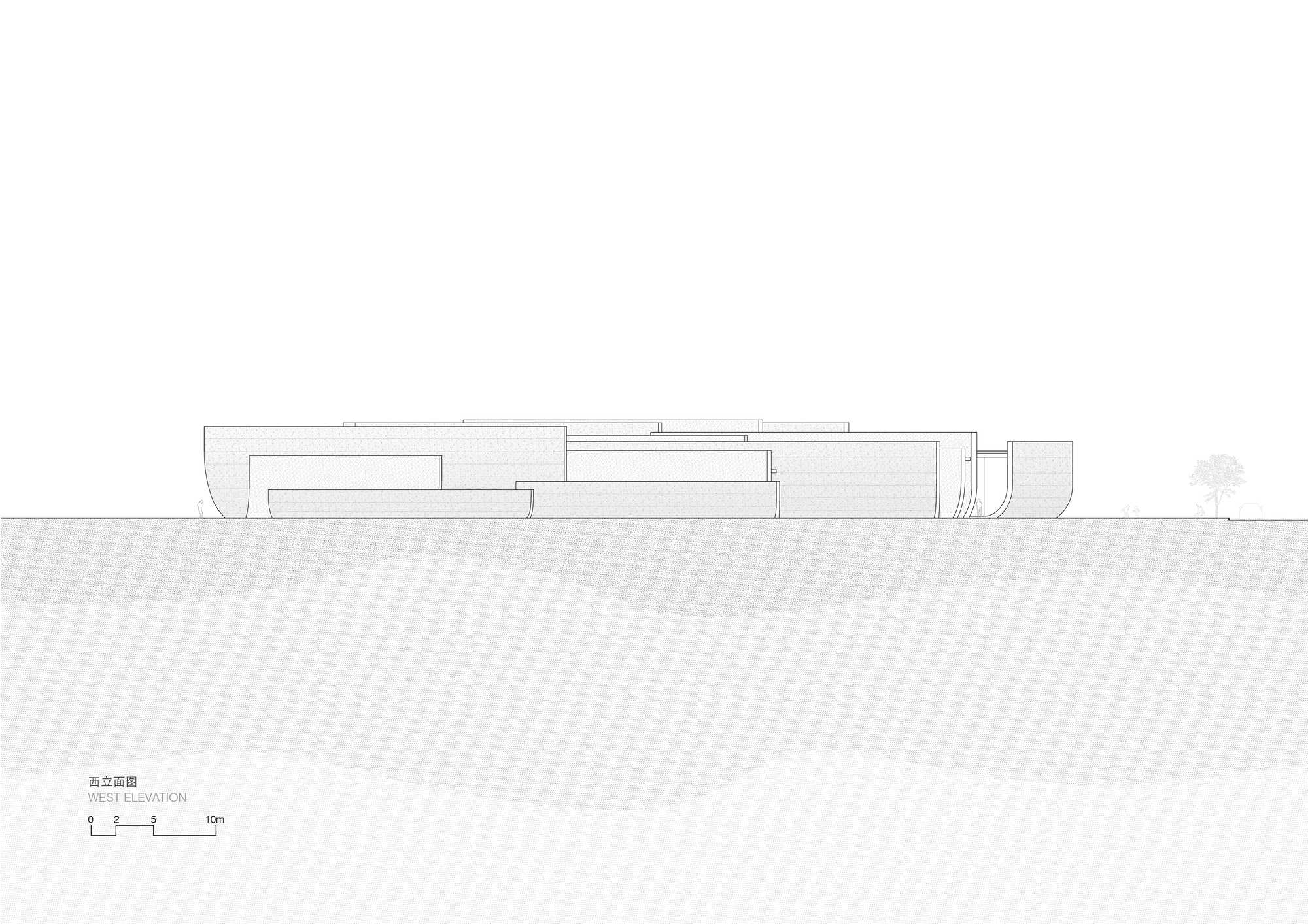 West elevation drawing showing a low horizontal volume partially embedded into sloped terrain with a tree