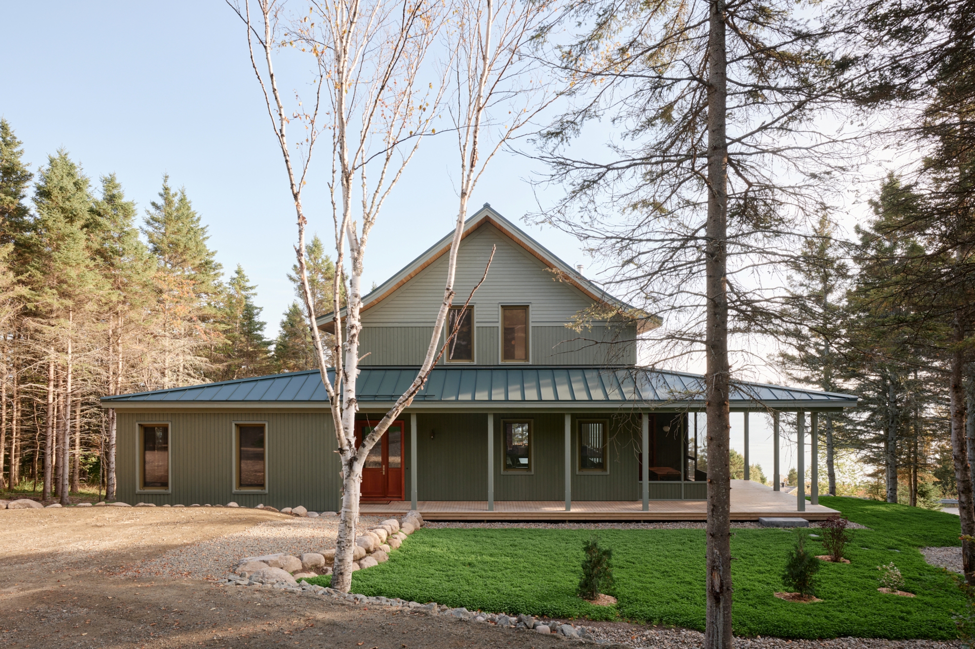 Gabled house with metal standing seam roof and vertical siding framed by birch trees and conifers