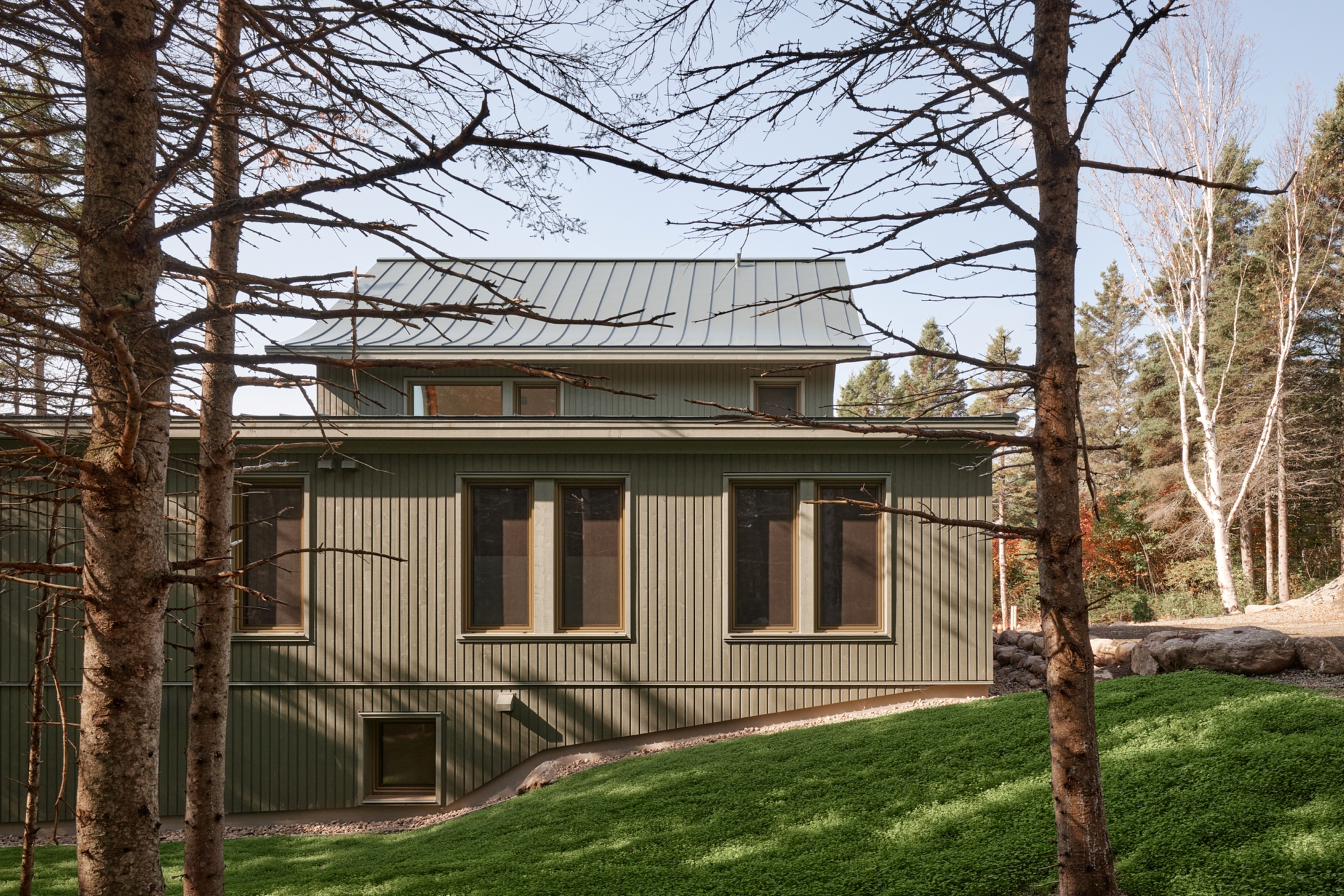 Exterior view of the vertical plank facade framed by bare trees and evergreens