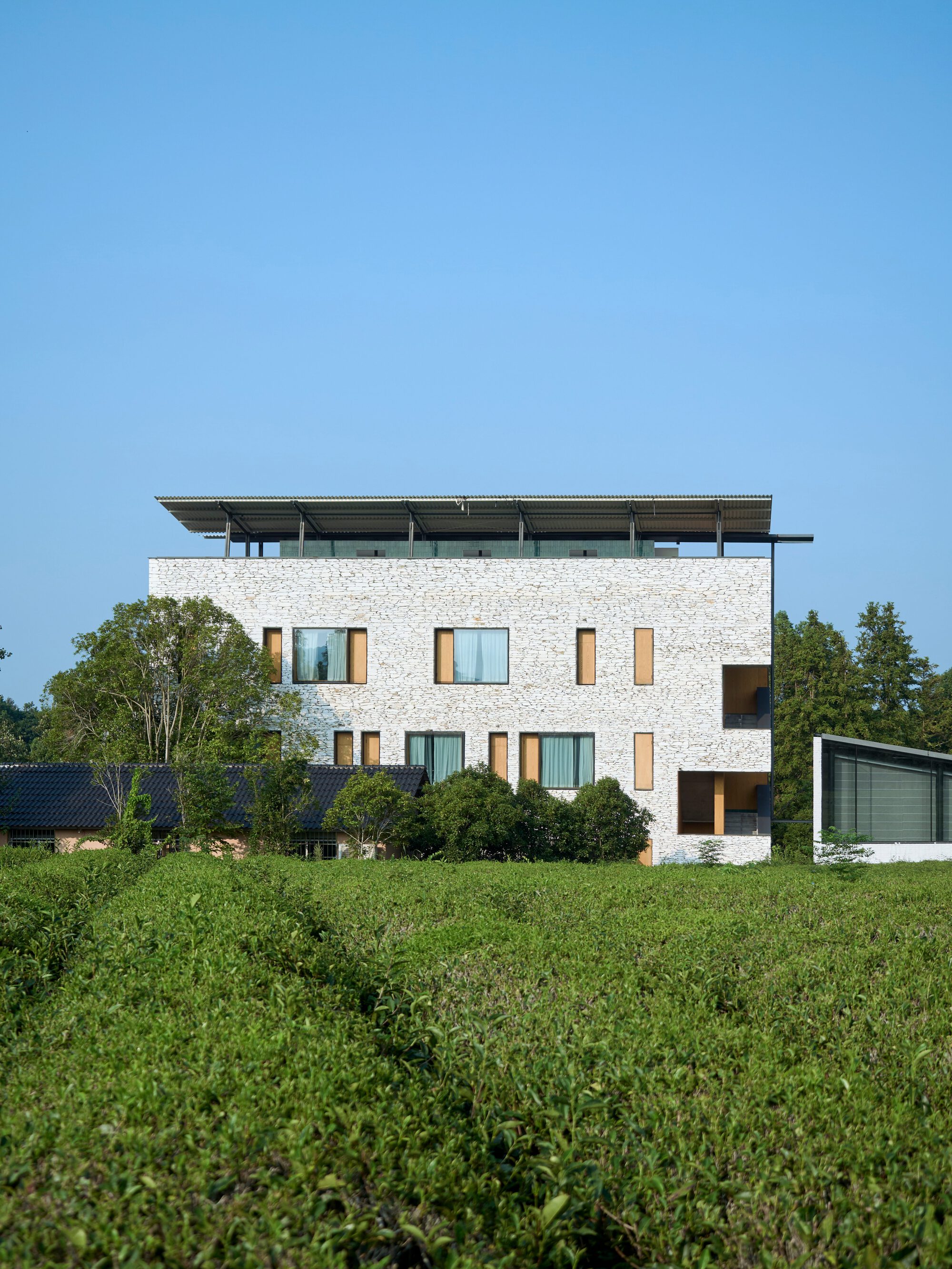 Rear elevation with white terrazzo walls and timber-framed windows set above a green field