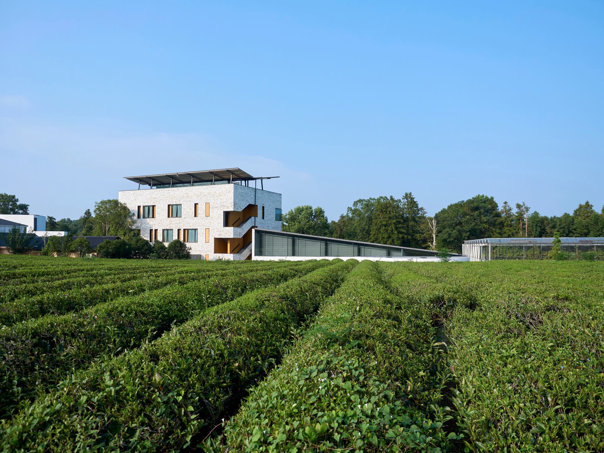 View from the tea field showing the multi-storey building with photovoltaic roof canopy under clear summer sky