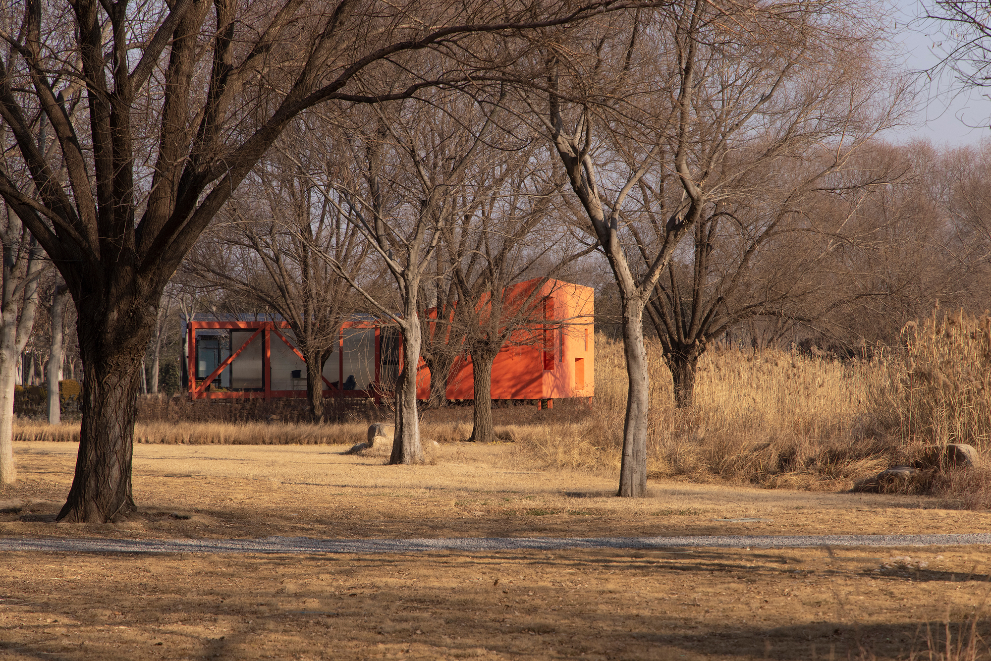 Red steel frame pavilions set among bare winter trees and dried grasses in late afternoon light