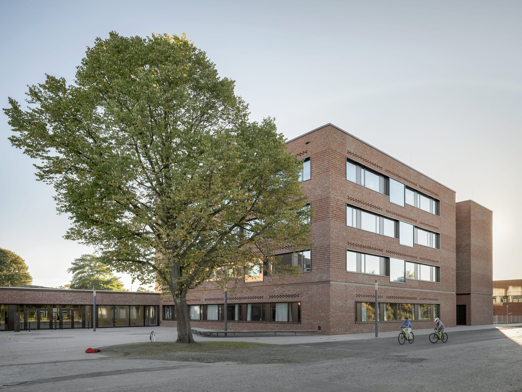 Four-storey brick building with perforated bands and a mature tree in the forecourt