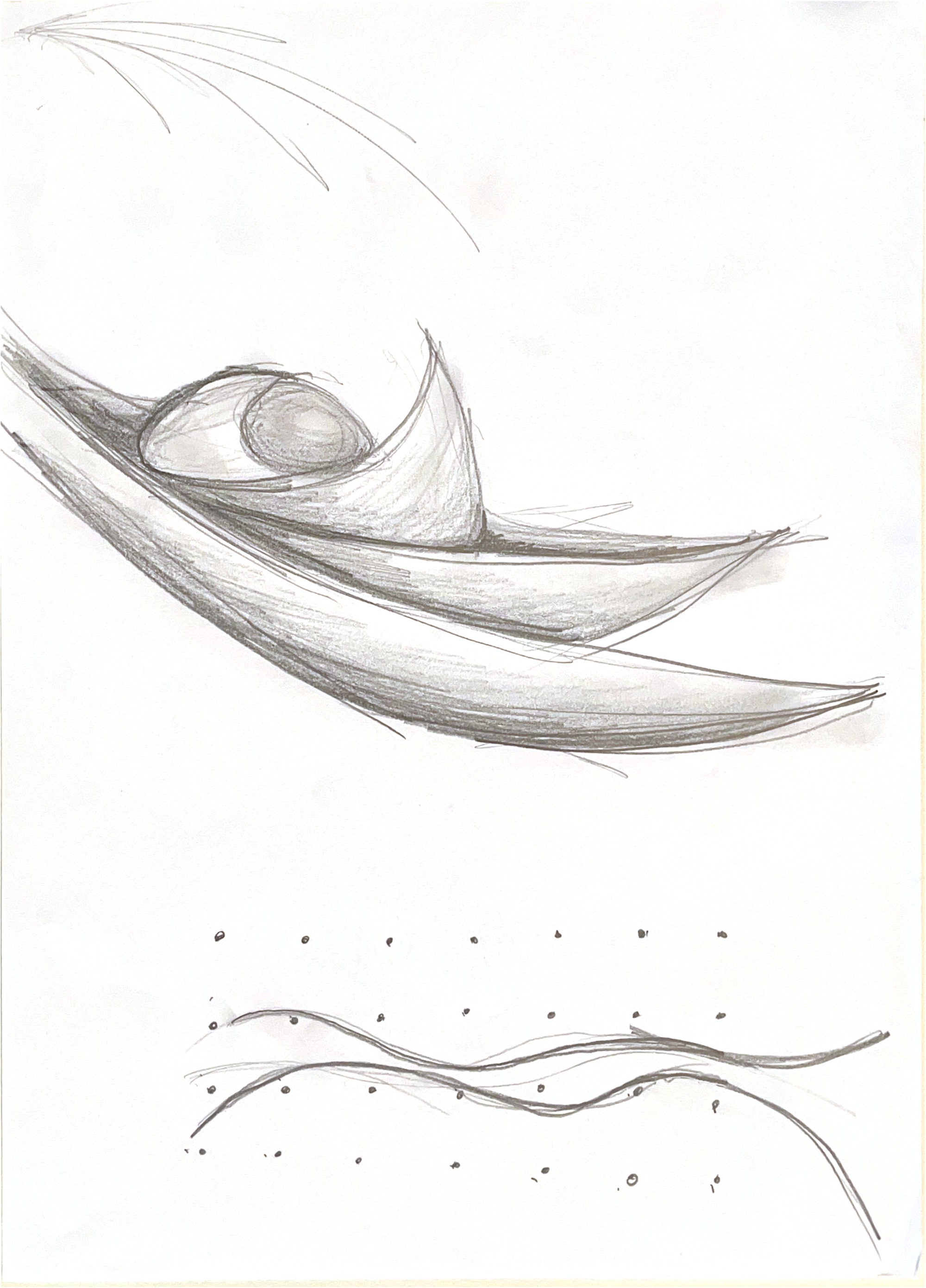 Sketch showing layered curving roof forms with an oval volume nestled beneath sweeping structural lines