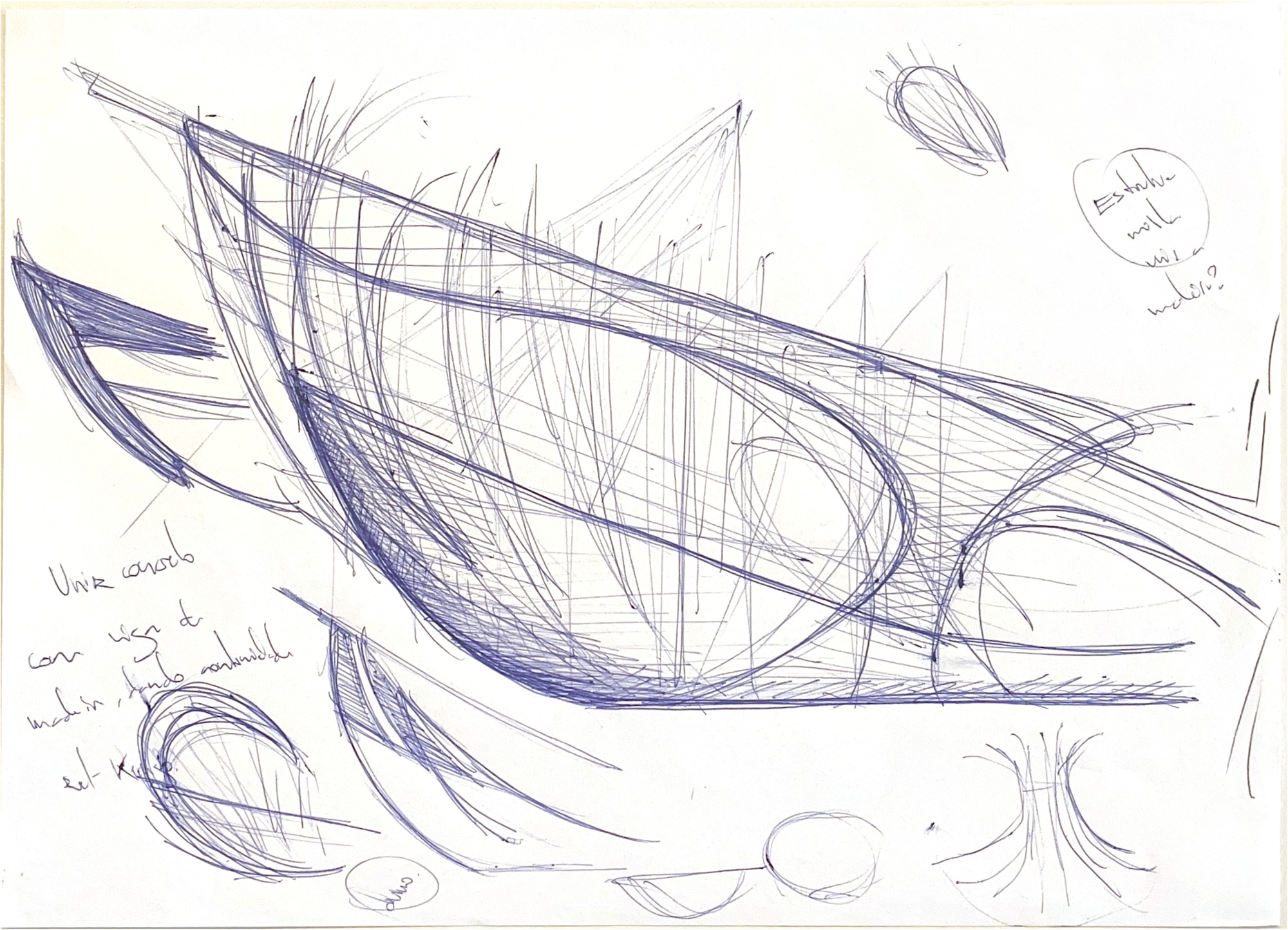 Conceptual sketch in blue pen showing a flowing roof form with curved lines and handwritten notes